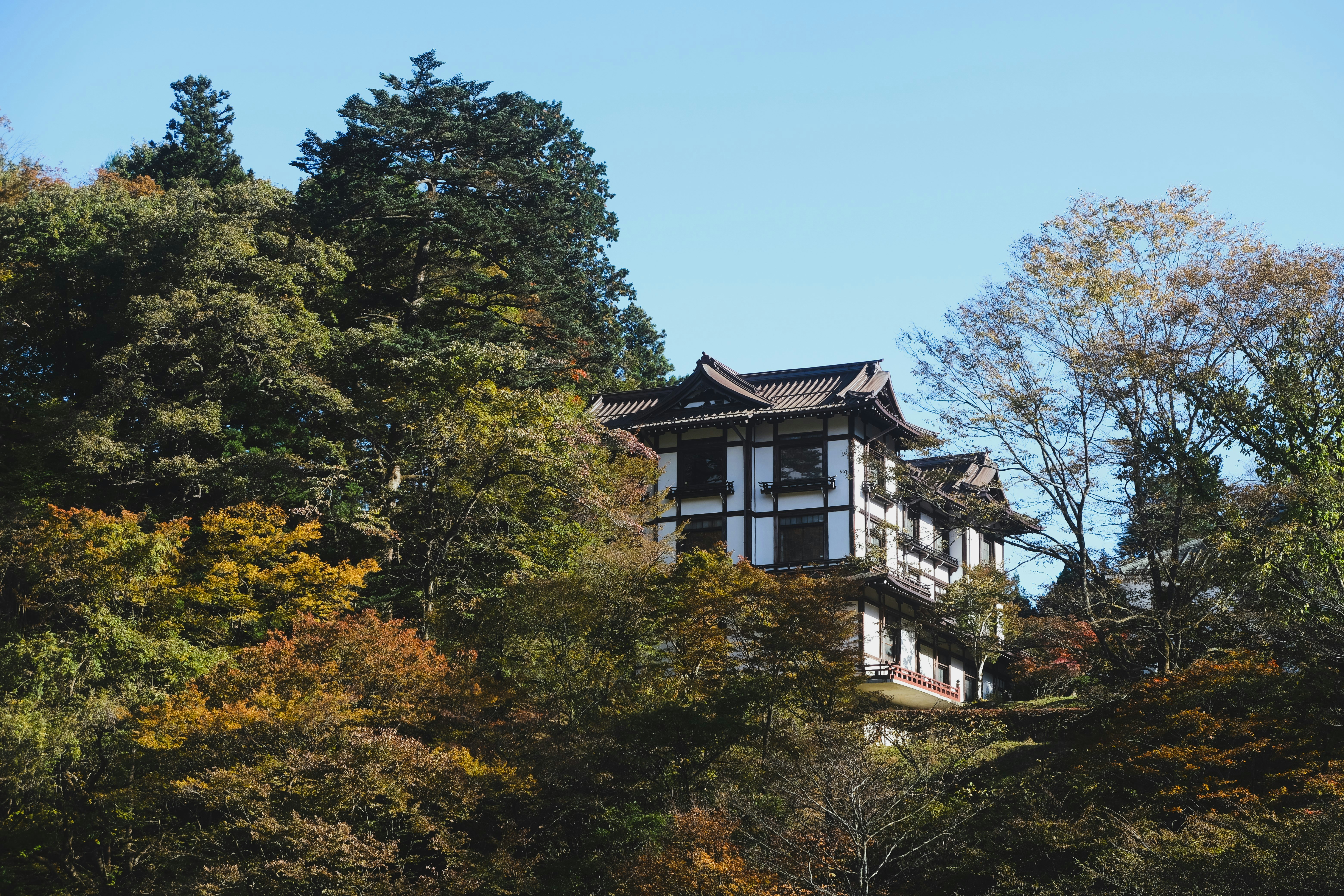 Photo by frequancytimespace