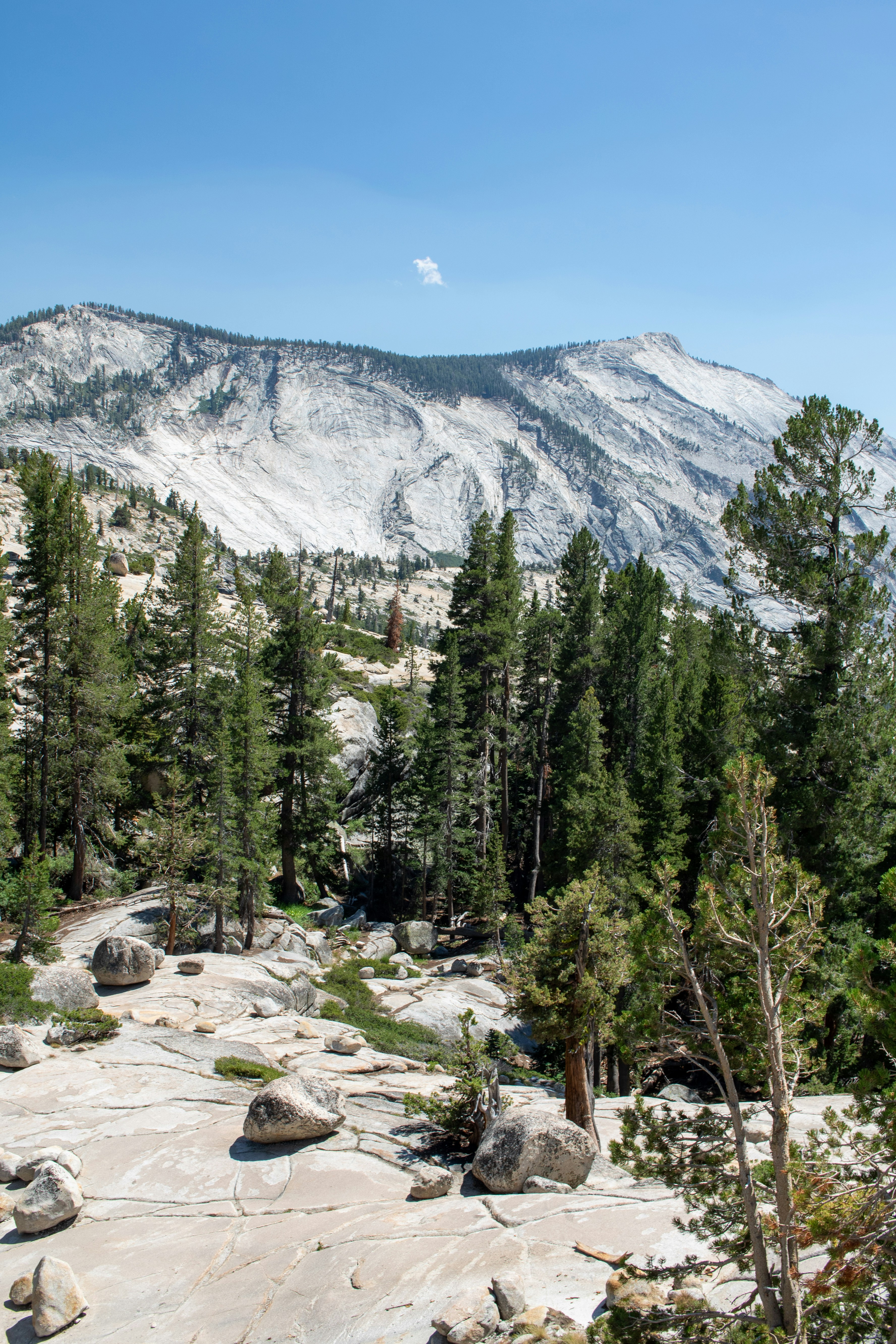 Photo by zoshuacolah