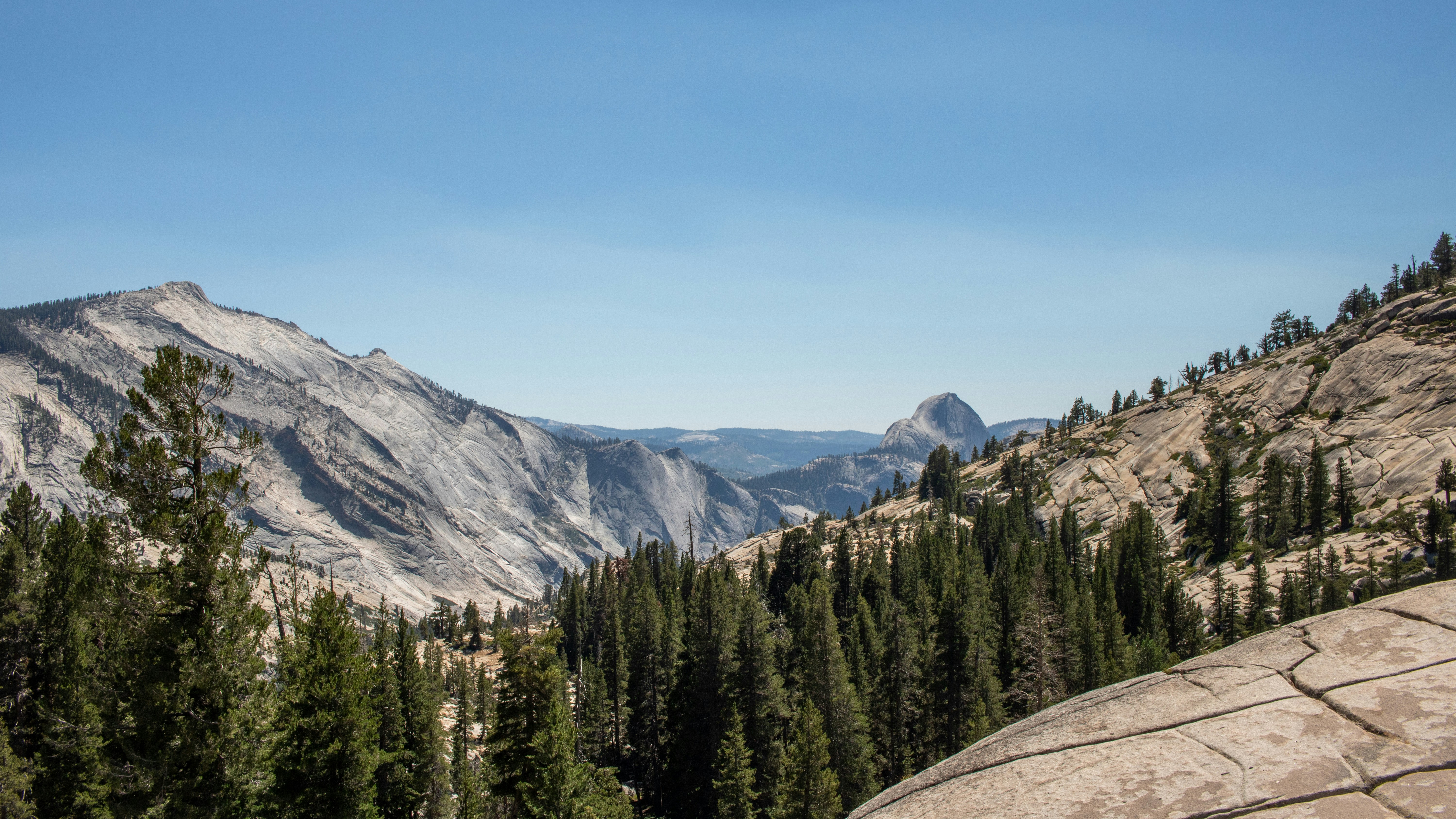 Photo by zoshuacolah