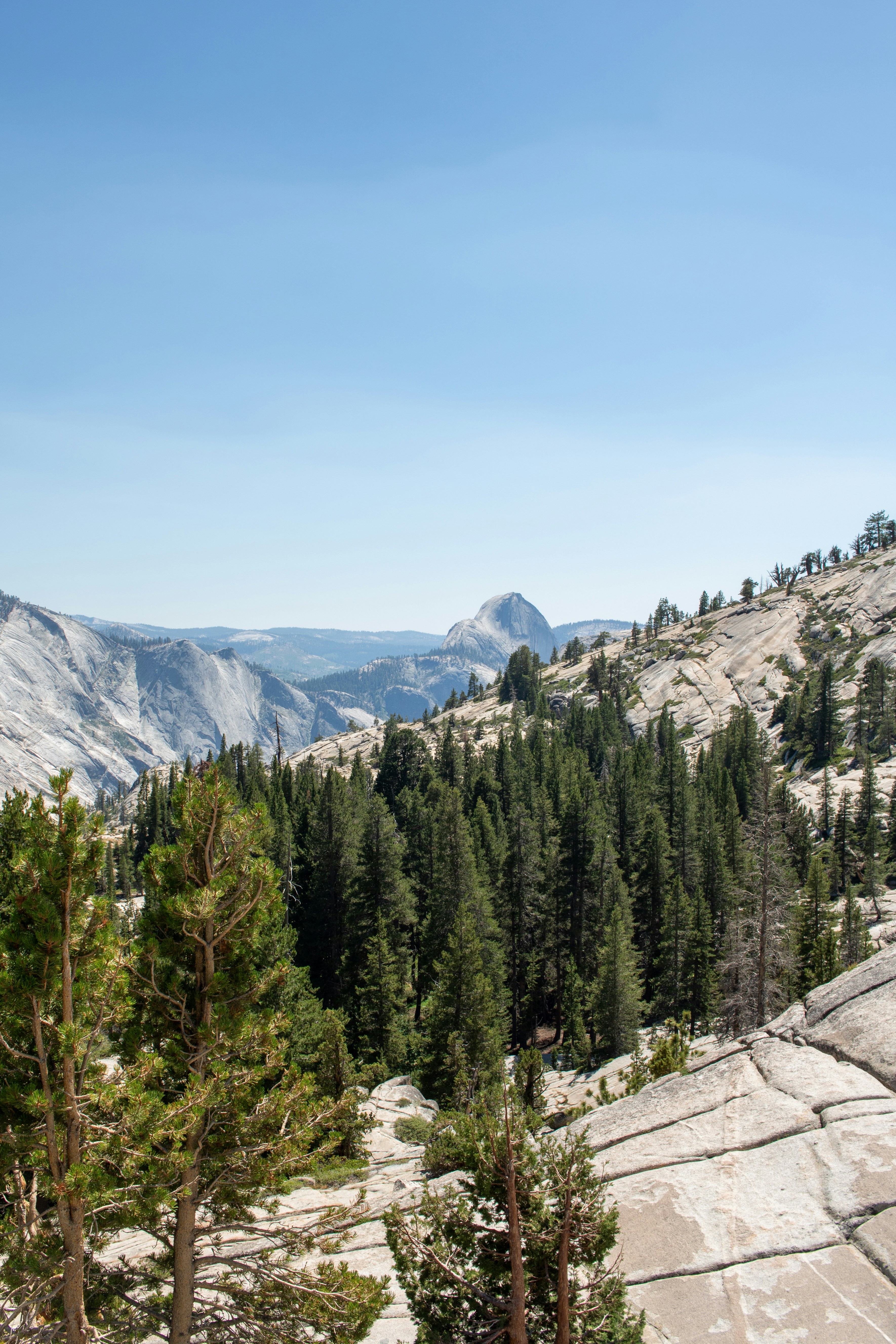 Photo by zoshuacolah