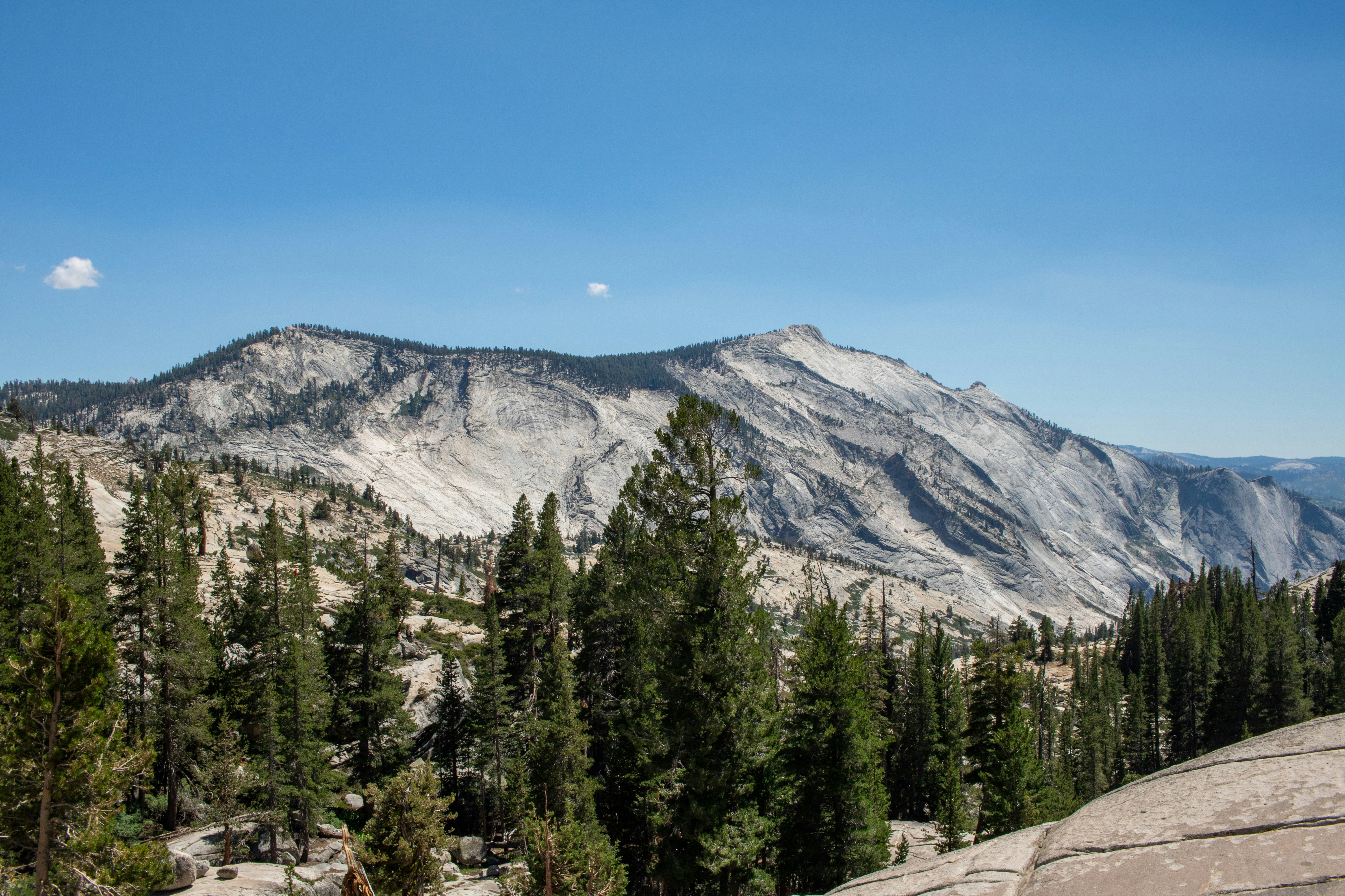 Photo by zoshuacolah