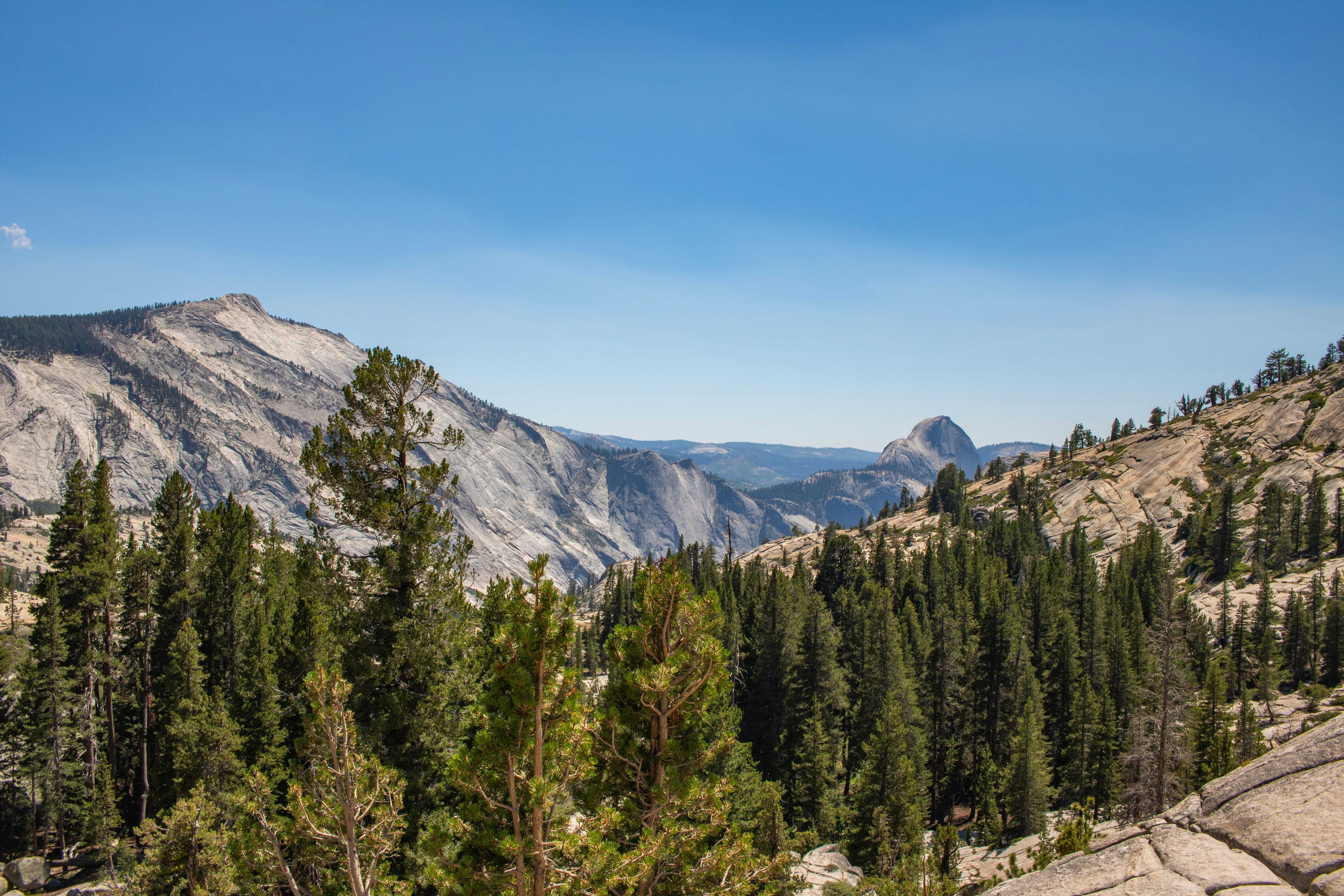 Photo by zoshuacolah