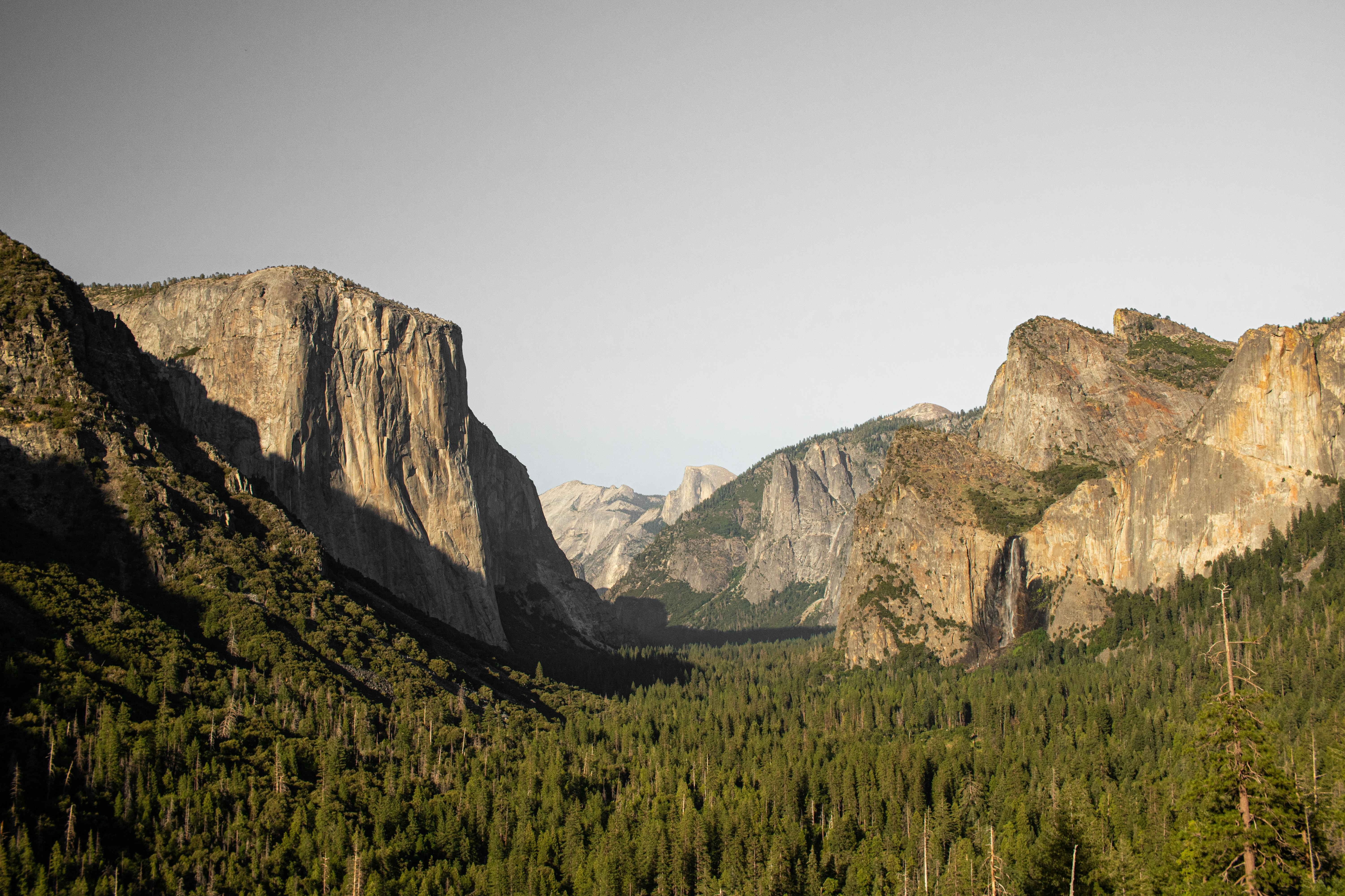 Photo by zoshuacolah