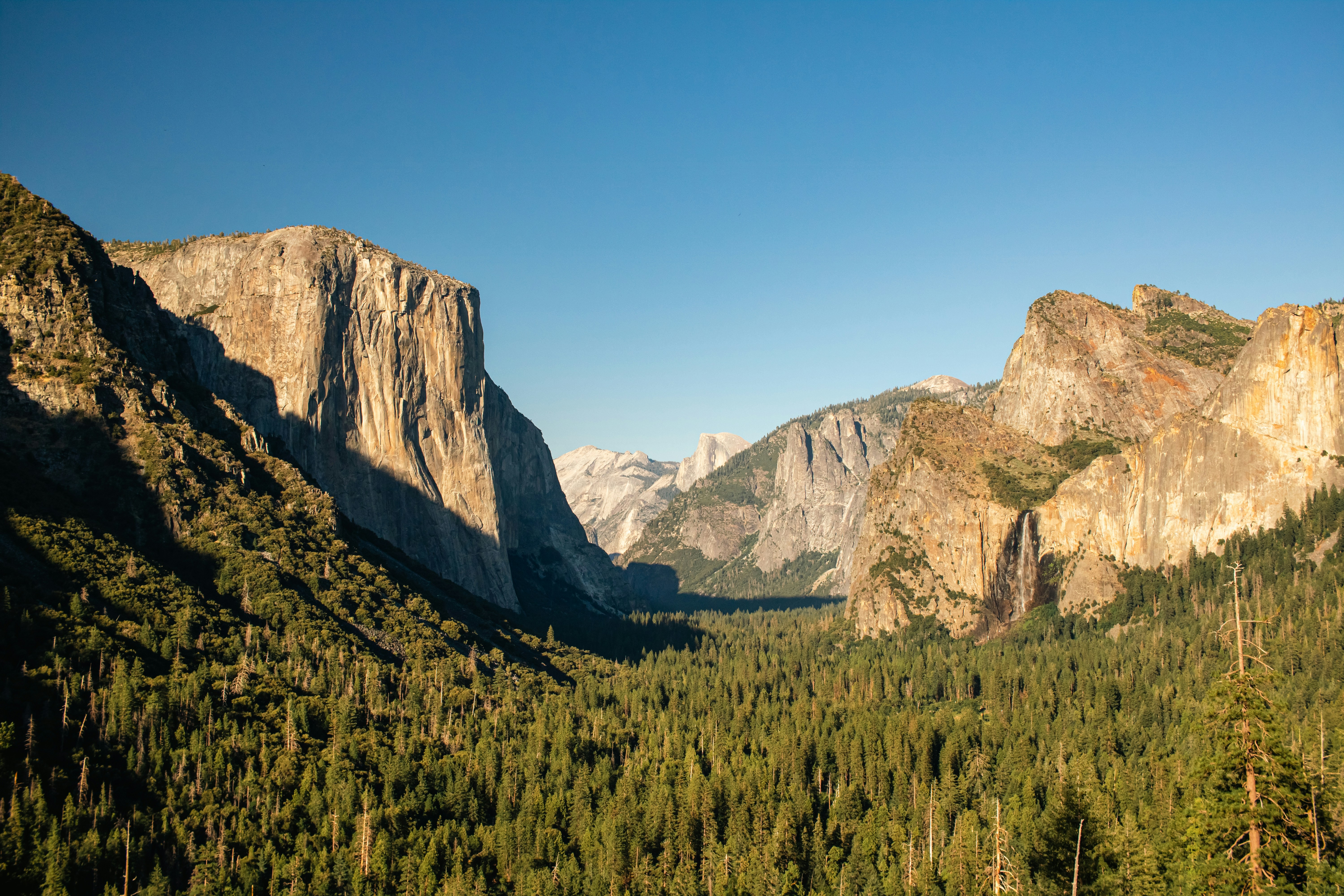 Photo by zoshuacolah