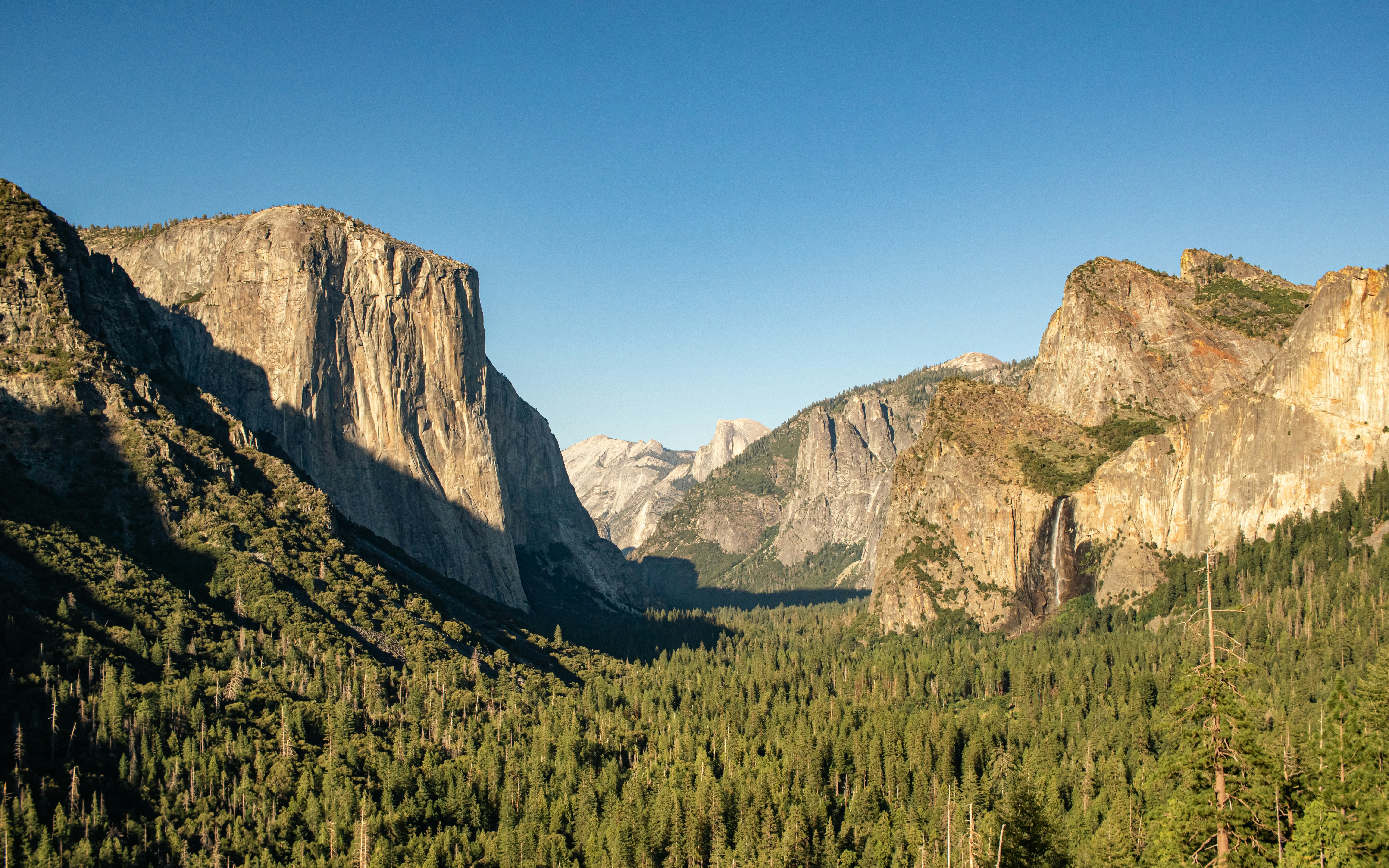 Photo by zoshuacolah