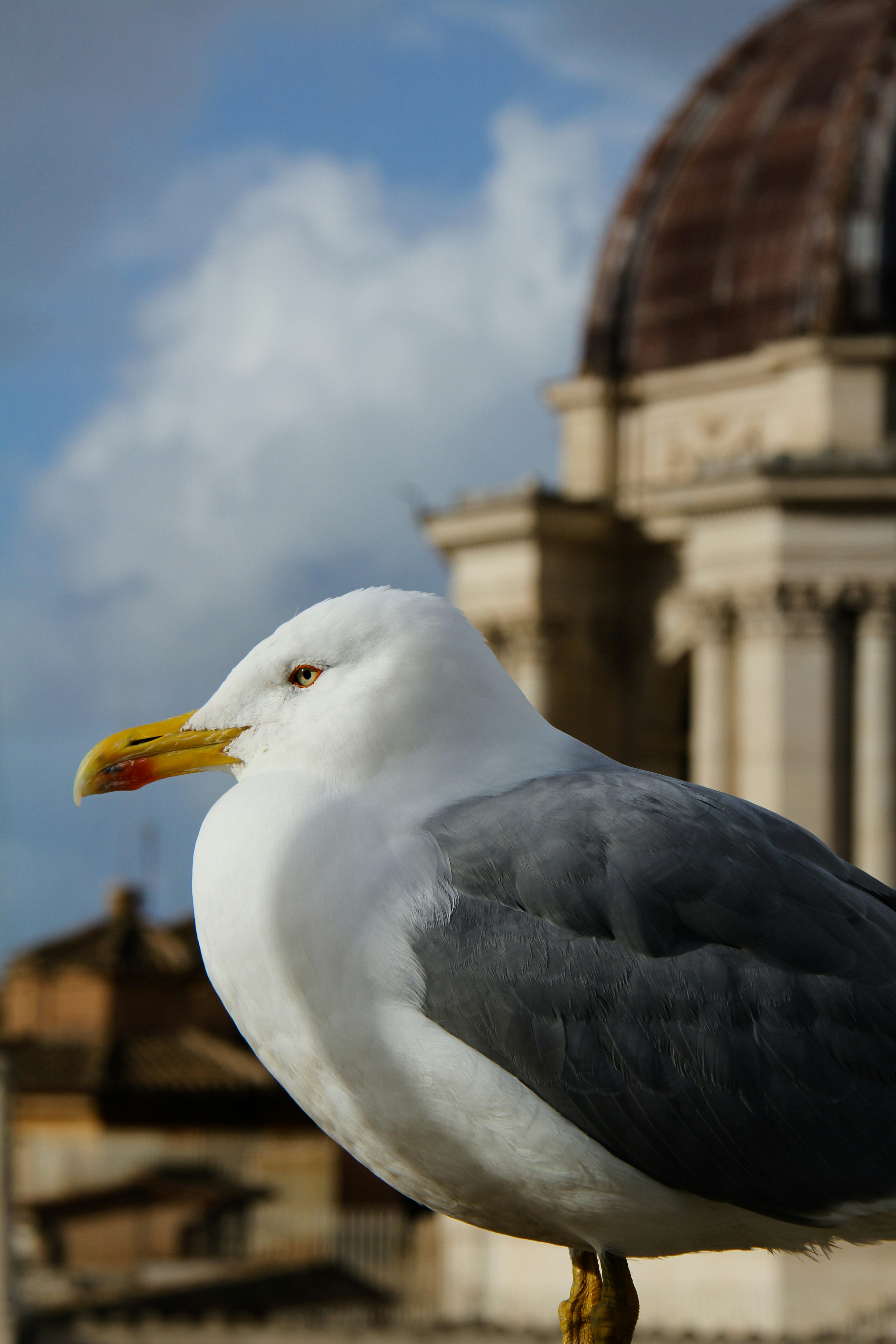 Photo by daryl03