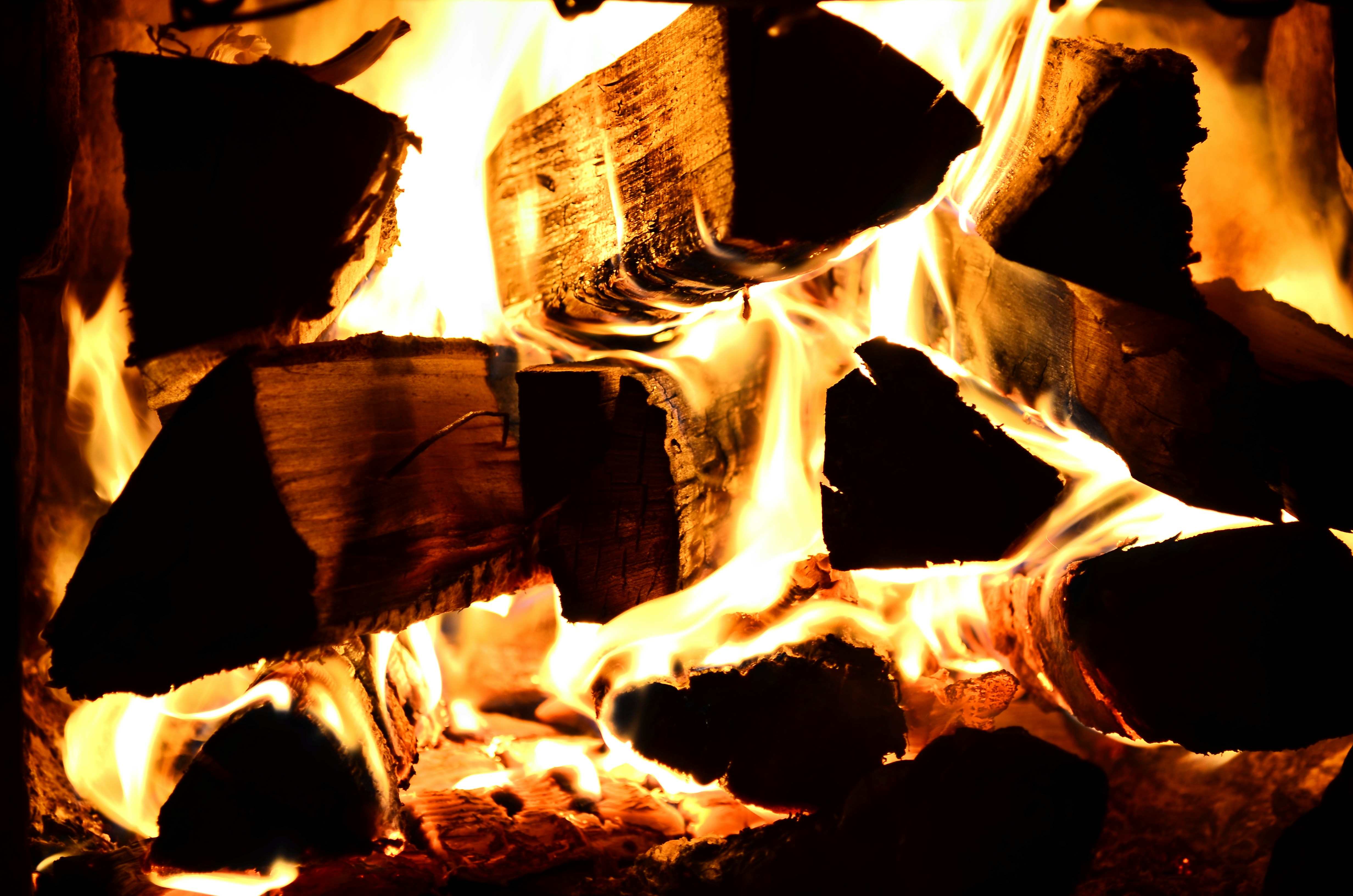 Photo by andrilliardbond