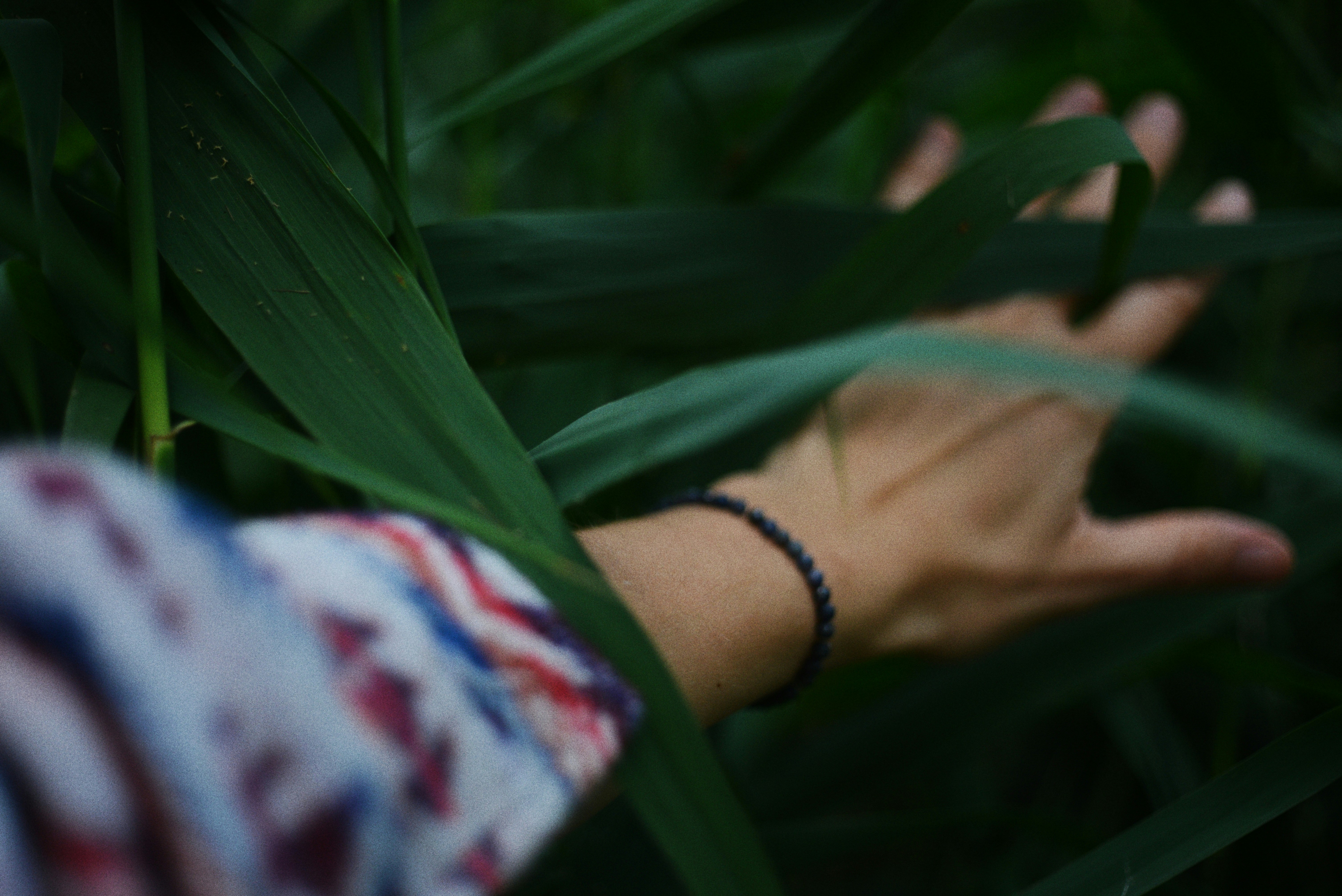 Photo by cherstve_pechivo