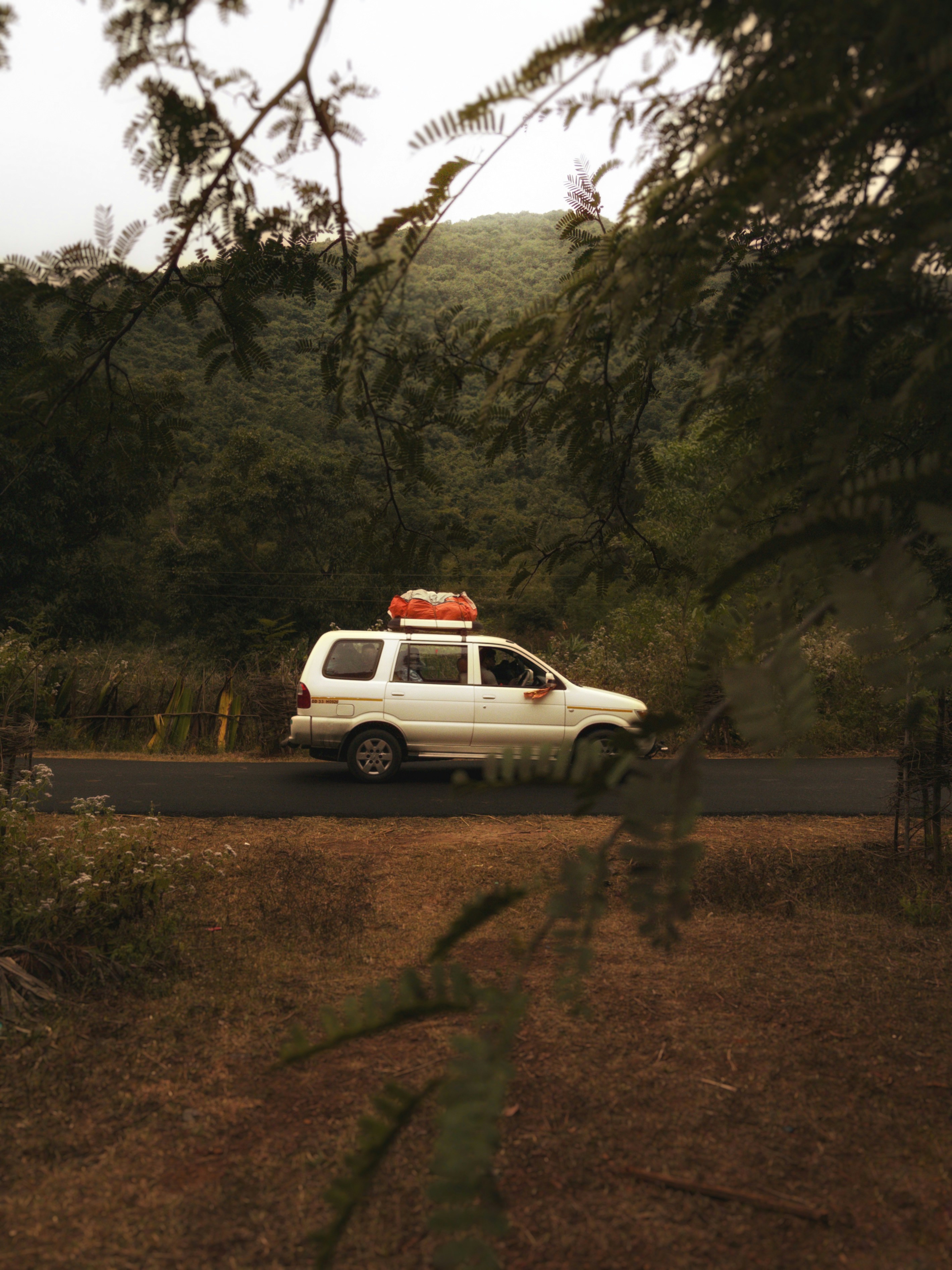 Photo by jasperamethyst