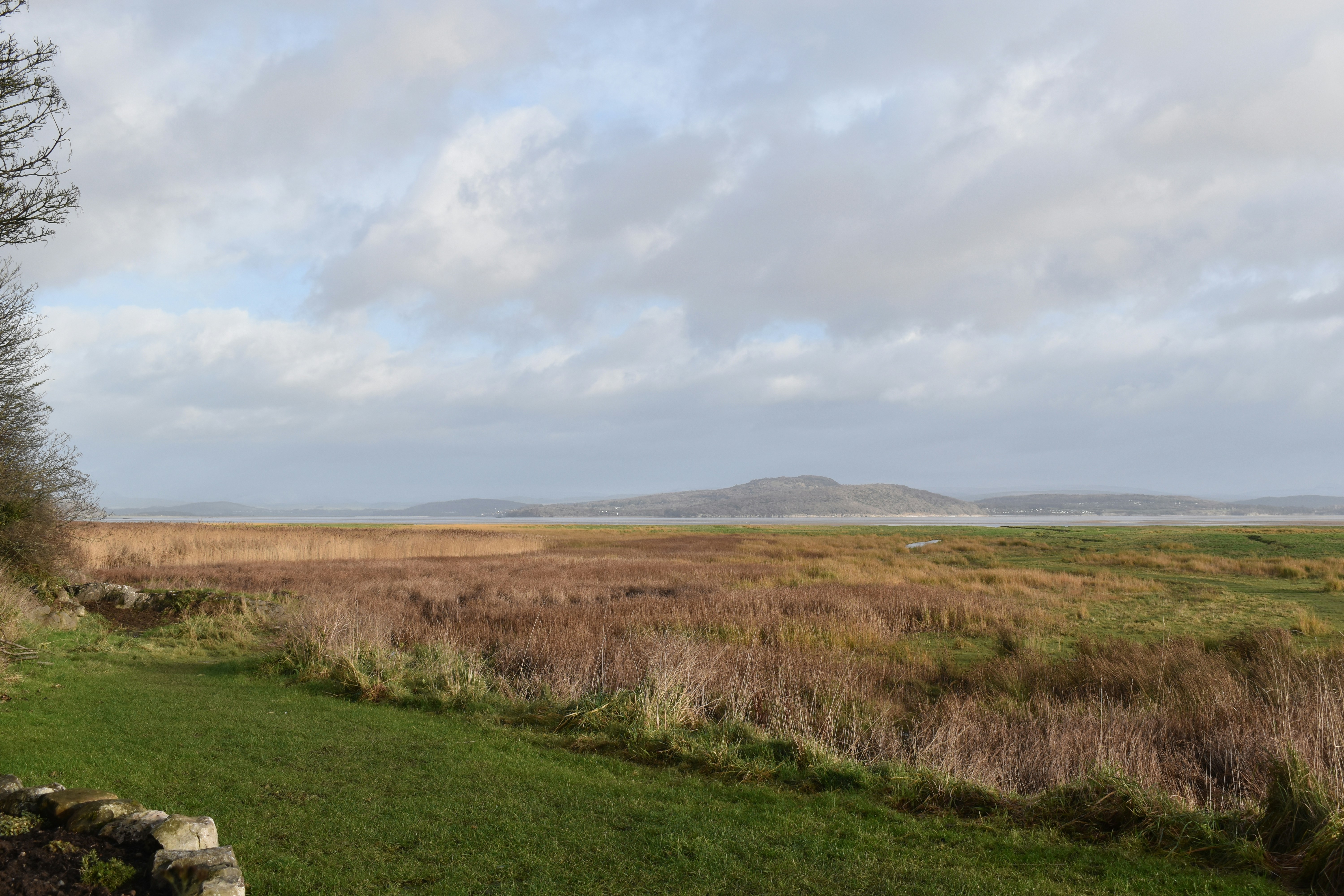 Photo by andrew_hall