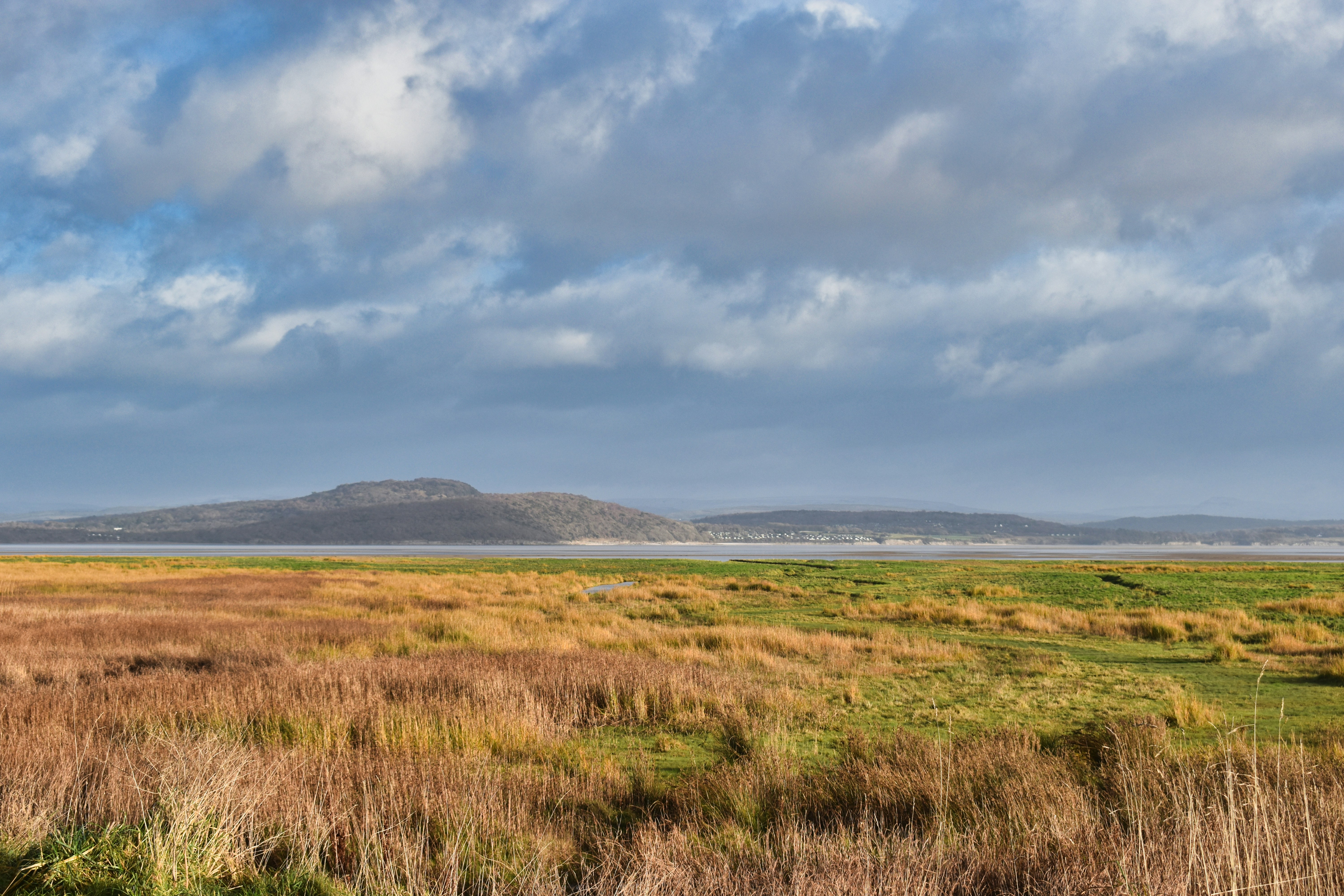 Photo by andrew_hall