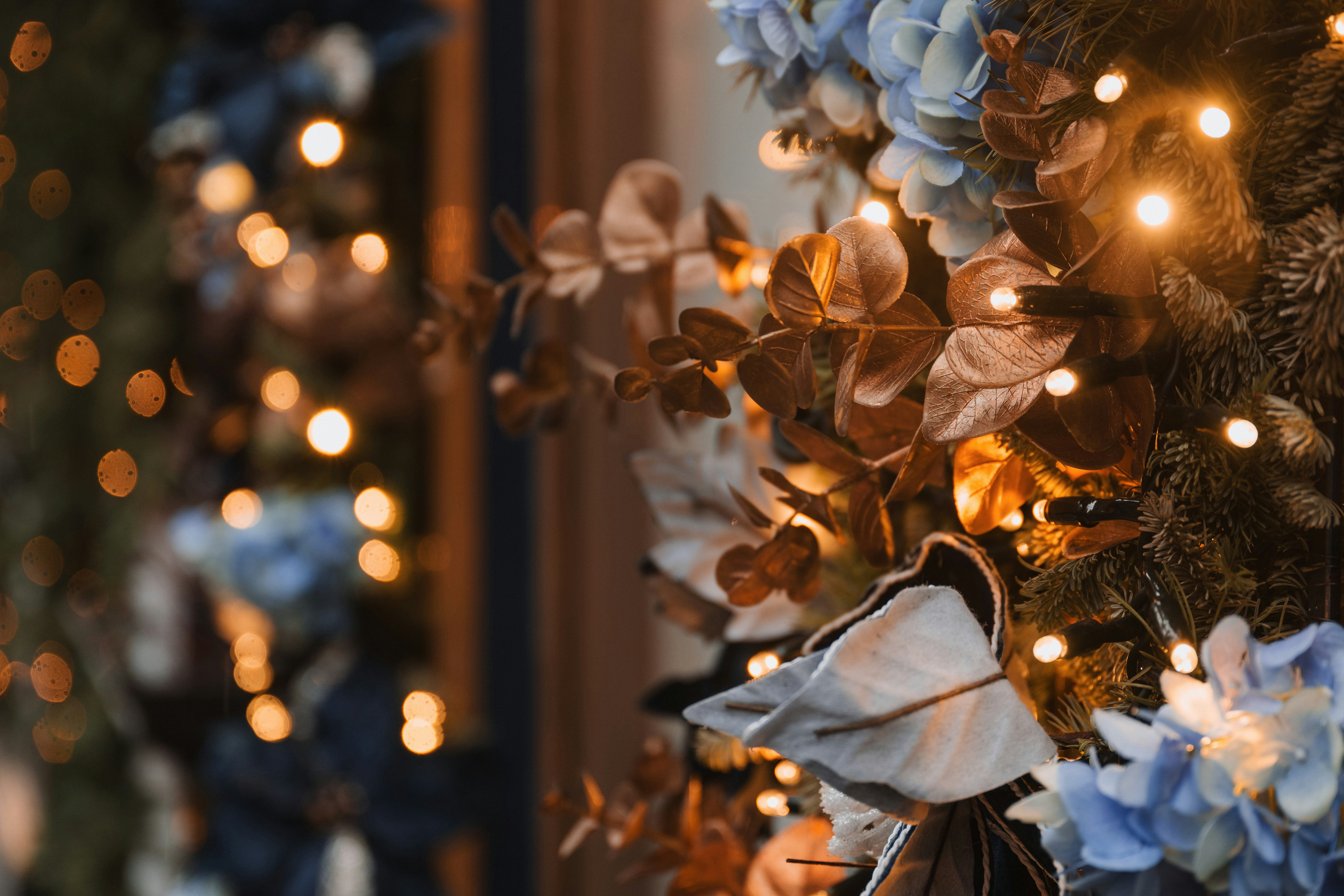 Photo by anitaaustvika