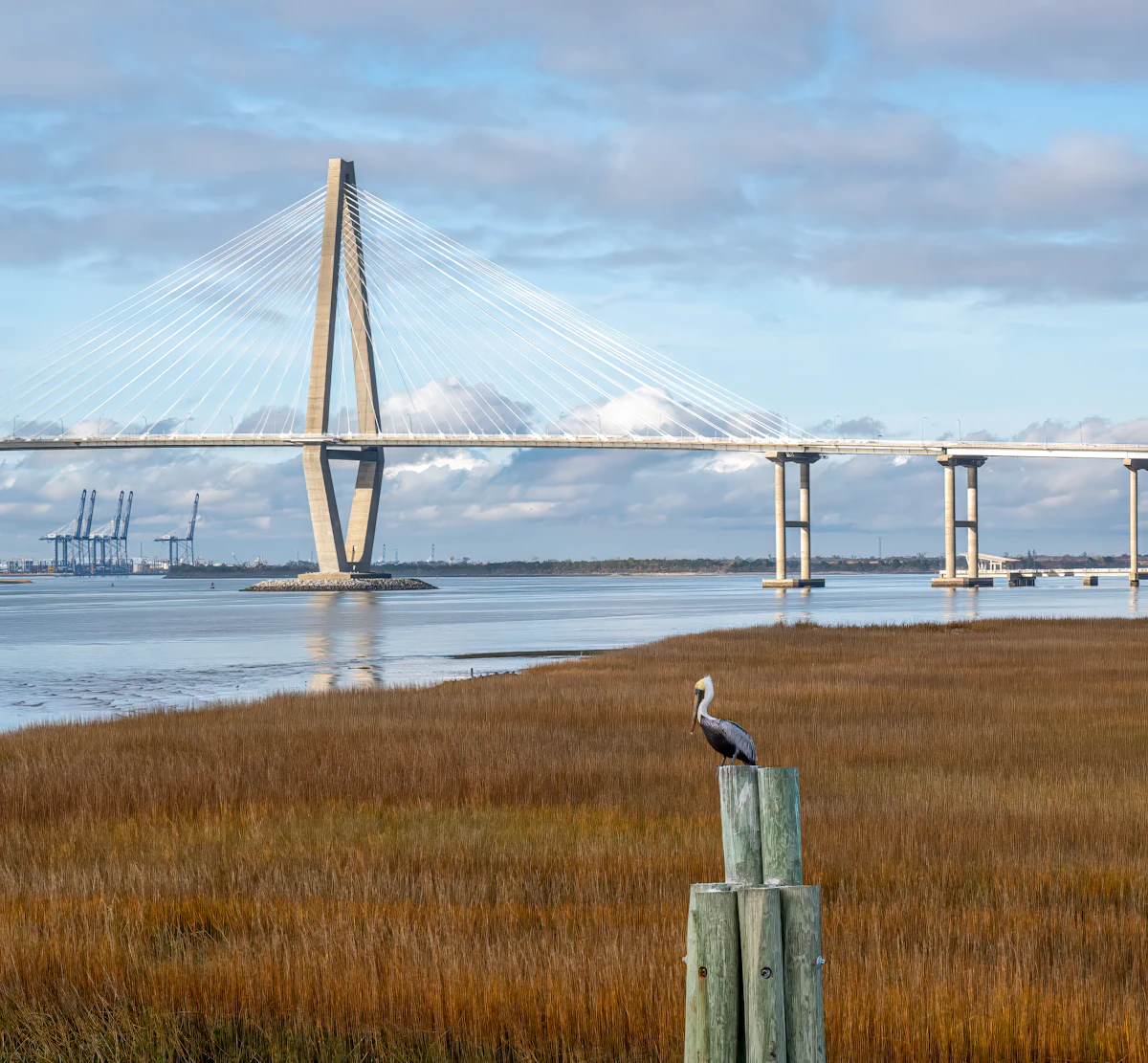 Morning on a Lowcountry porch