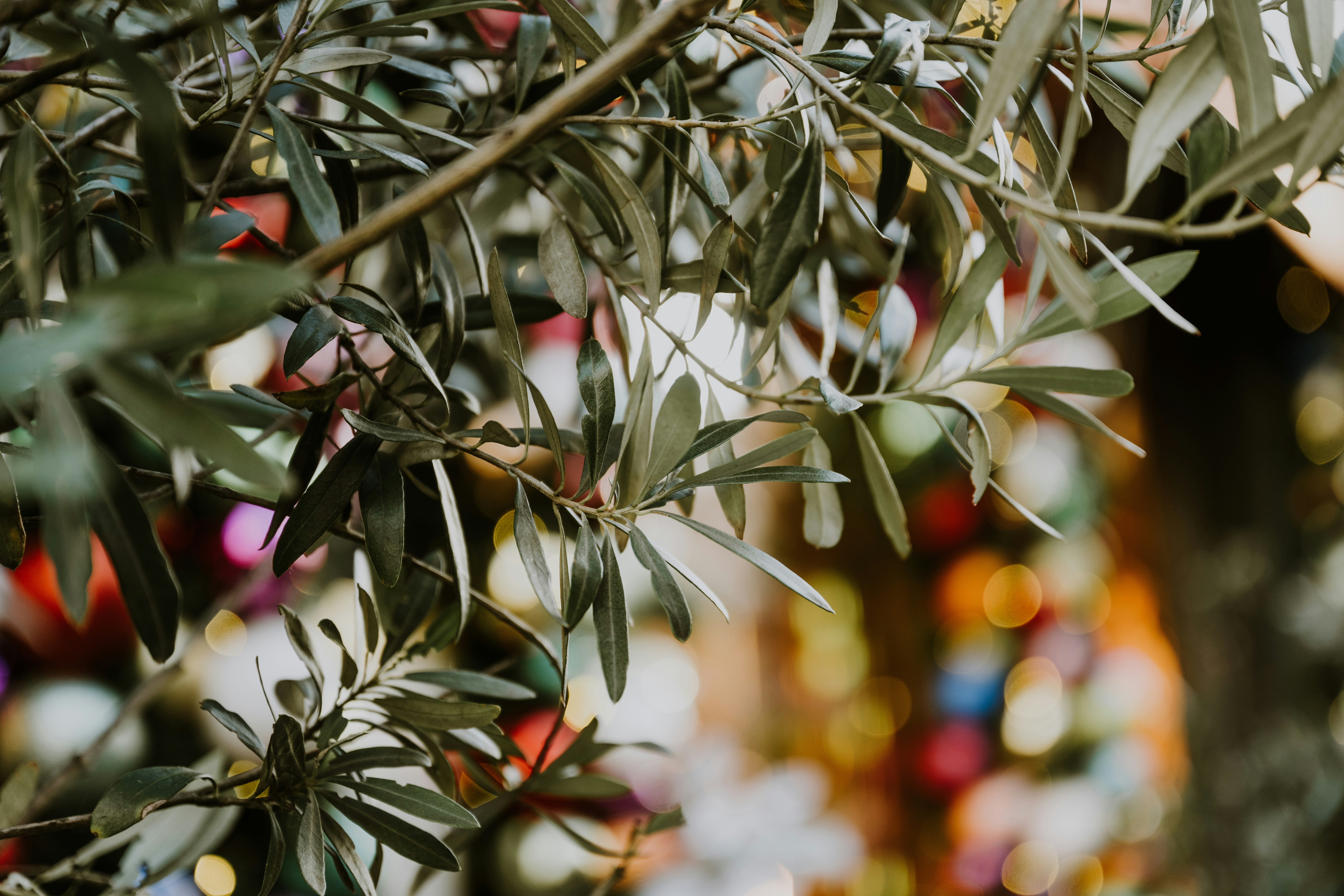 Photo by anitaaustvika