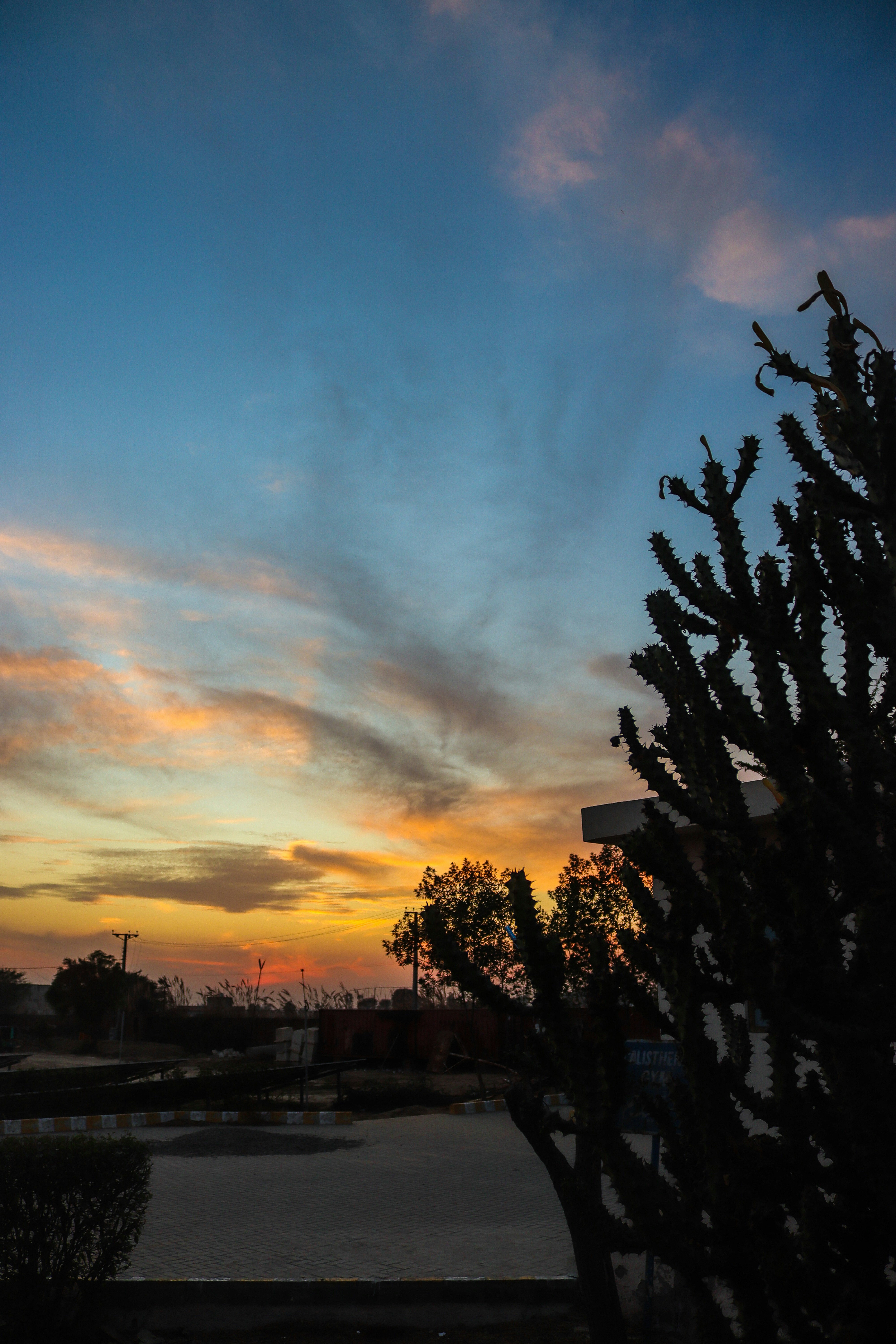 Photo by drphotographer152