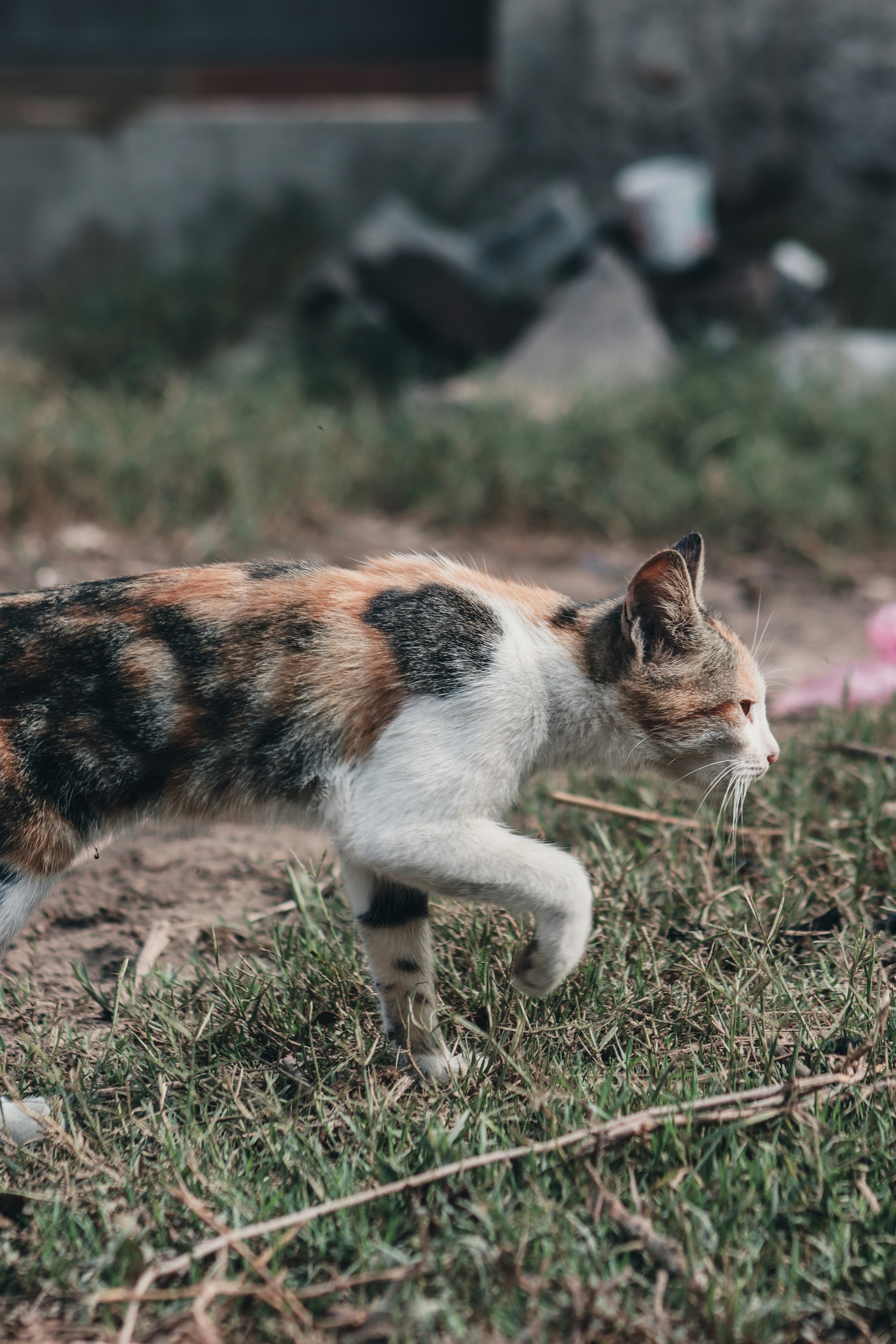 Photo by drphotographer152