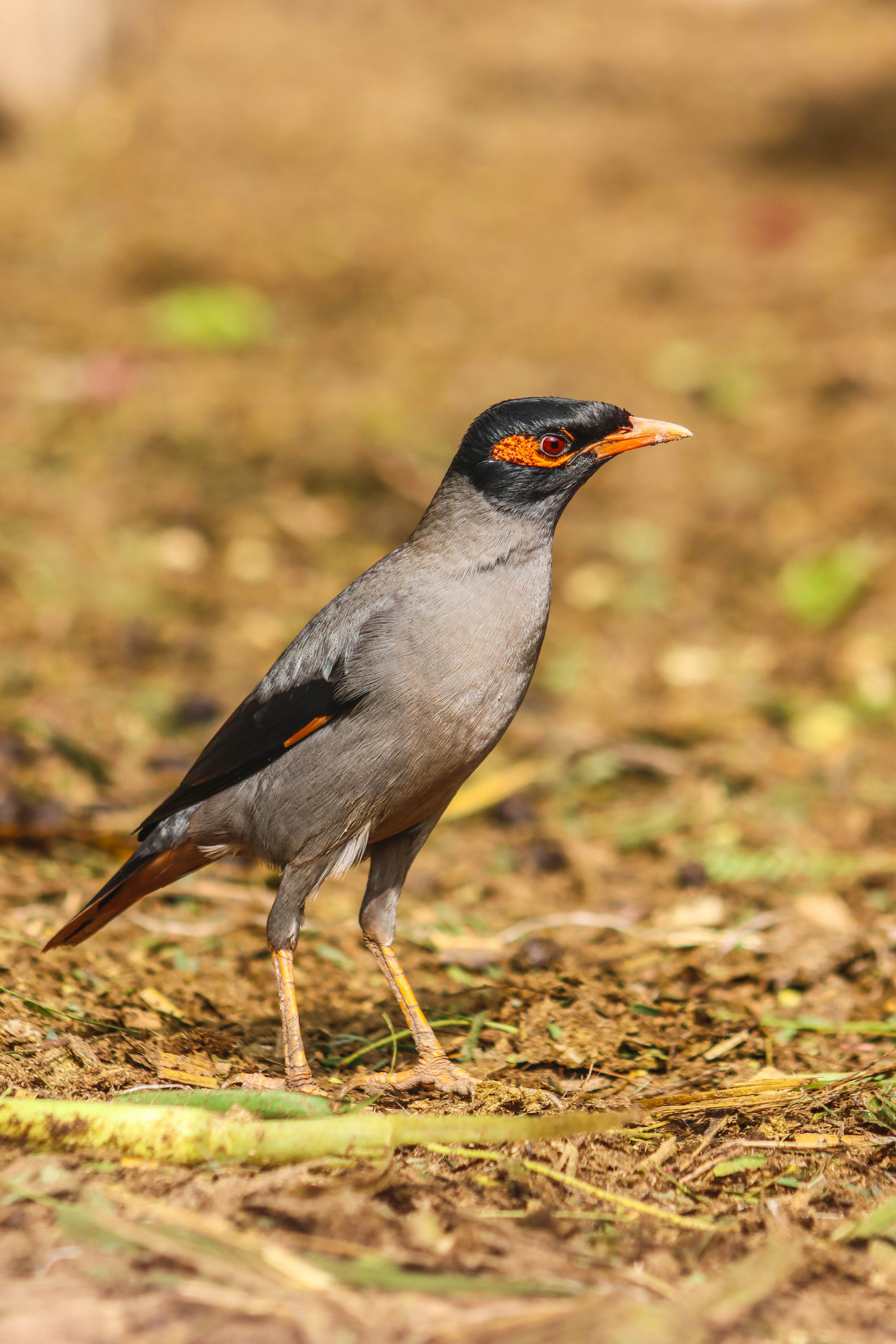 Photo by drphotographer152