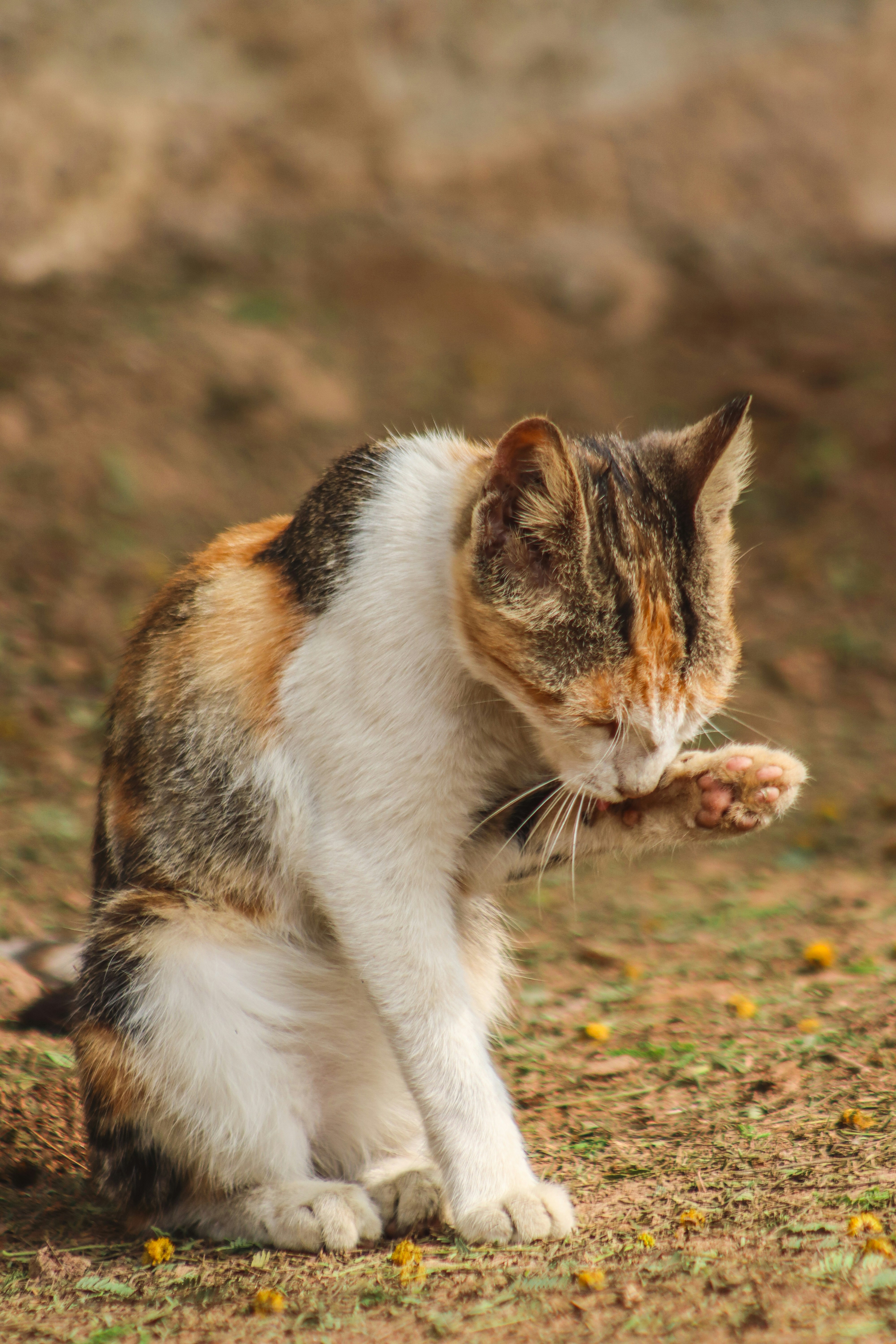 Photo by drphotographer152