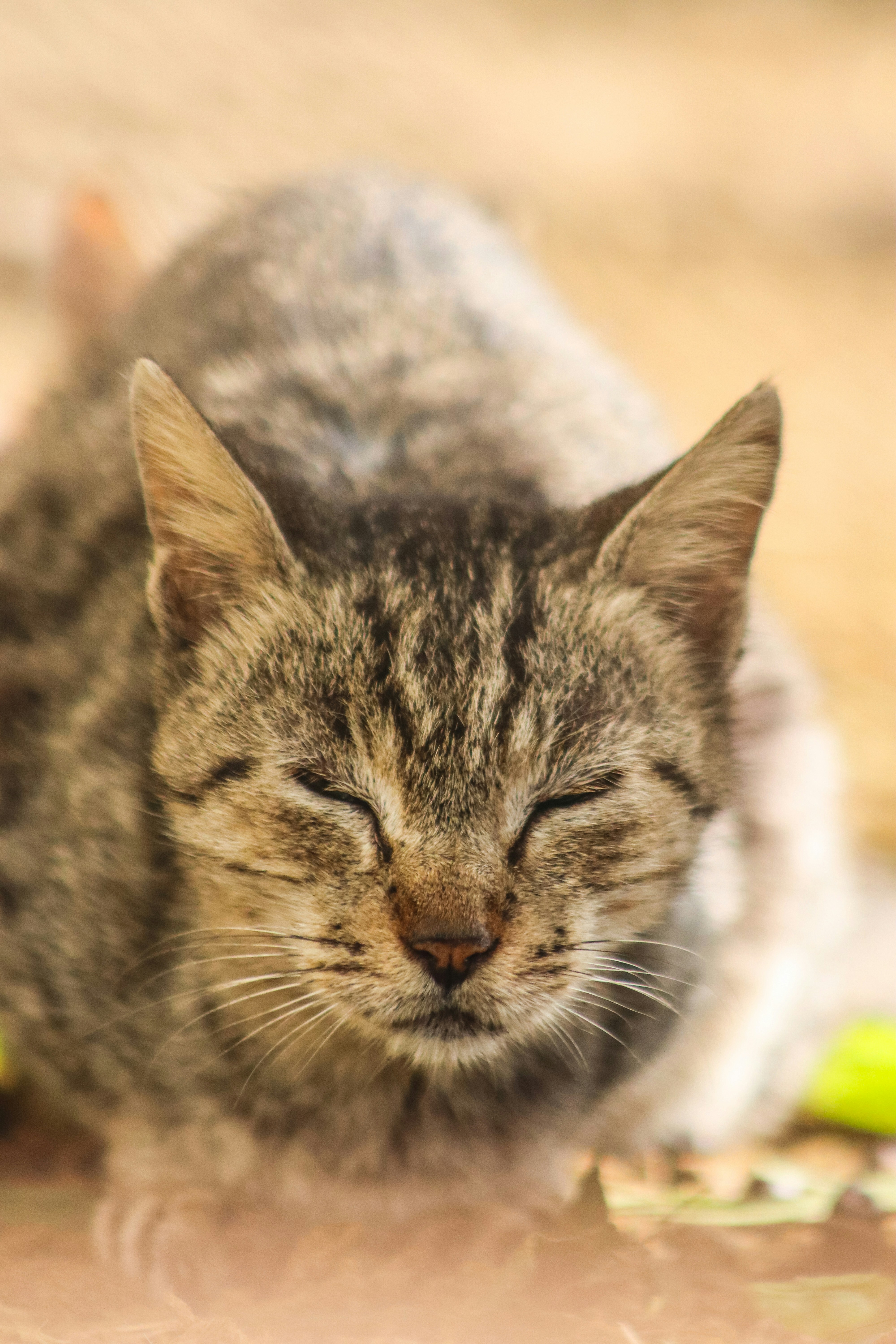 Photo by drphotographer152