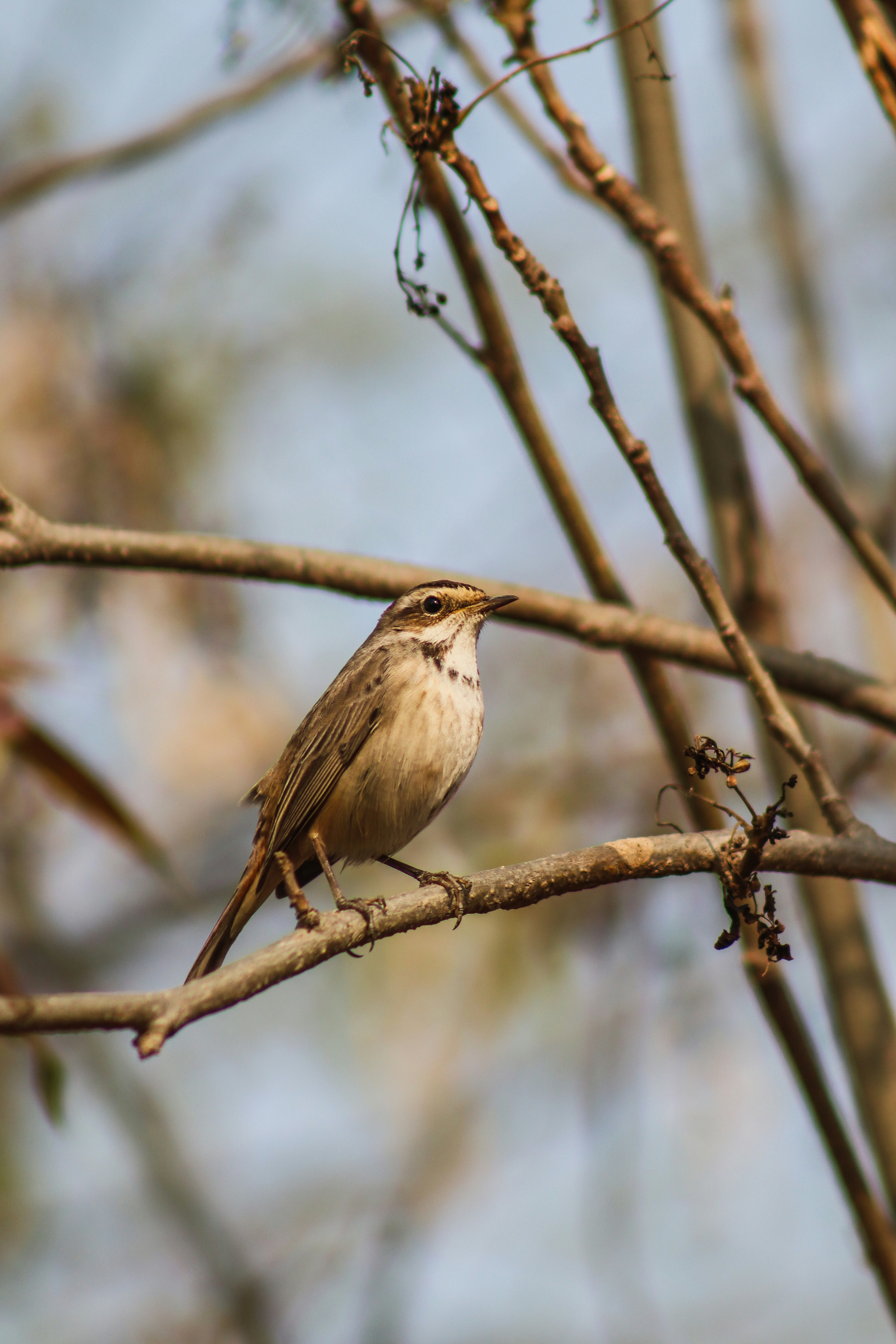 Photo by drphotographer152