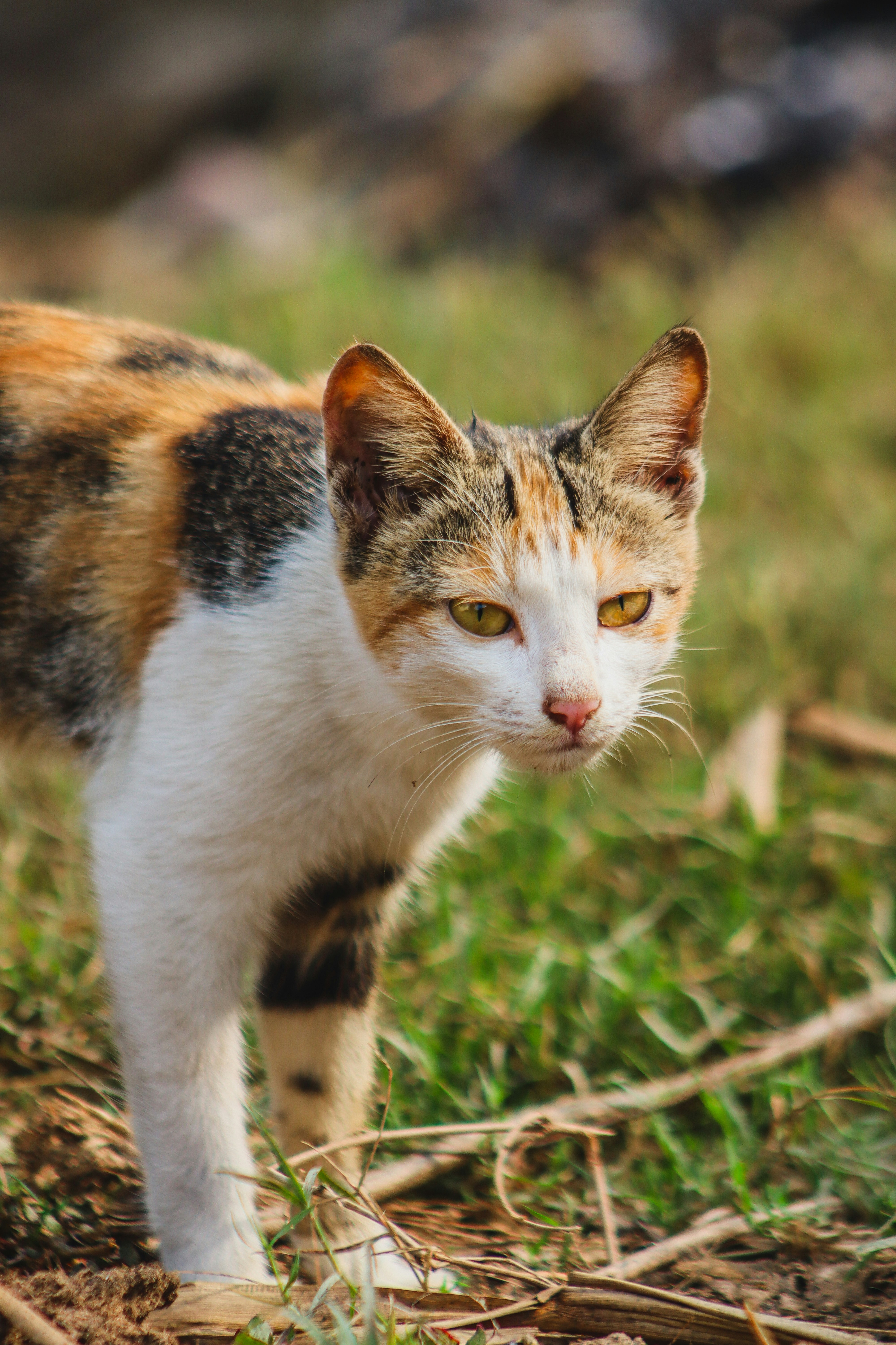 Photo by drphotographer152