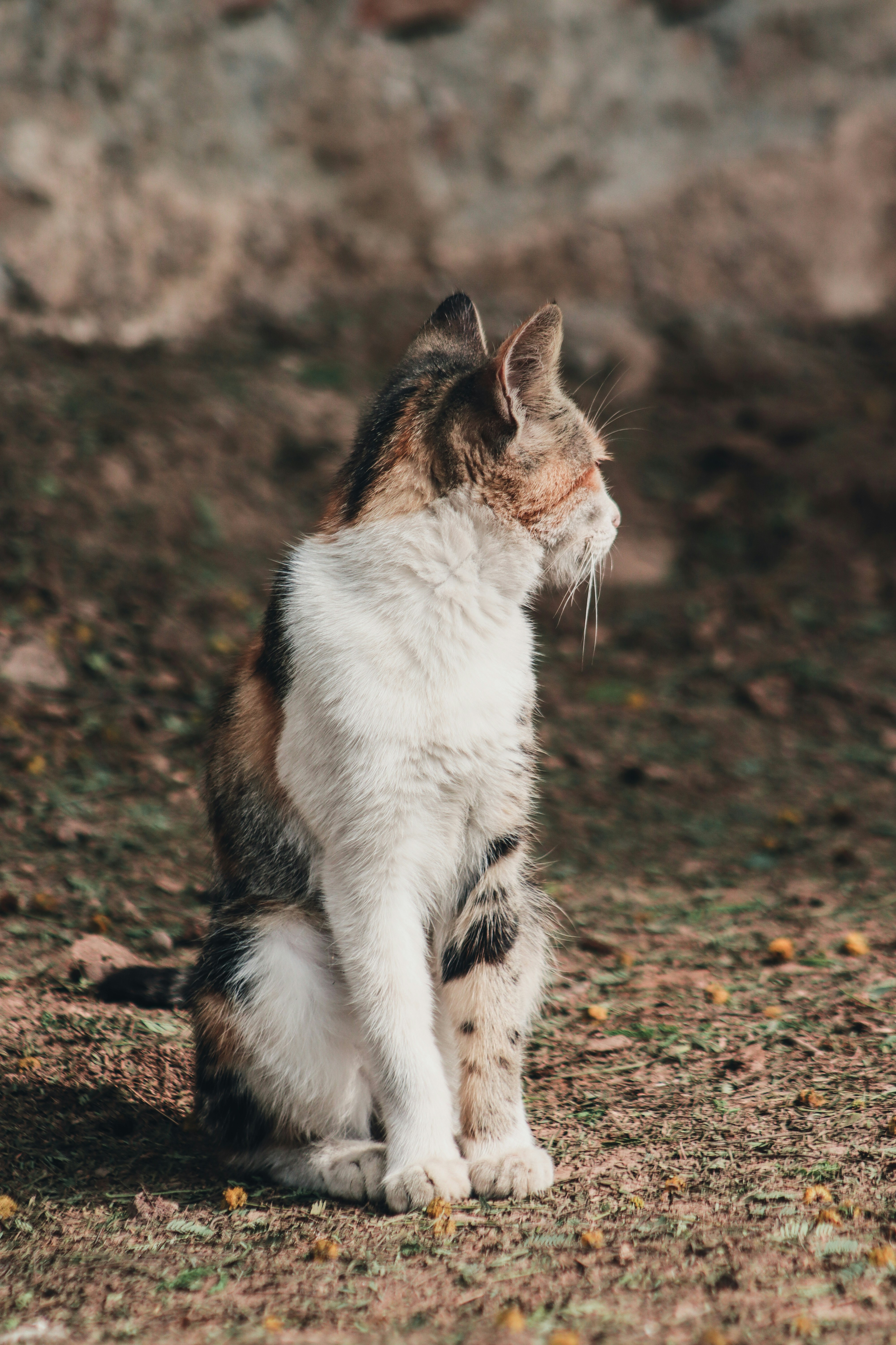 Photo by drphotographer152