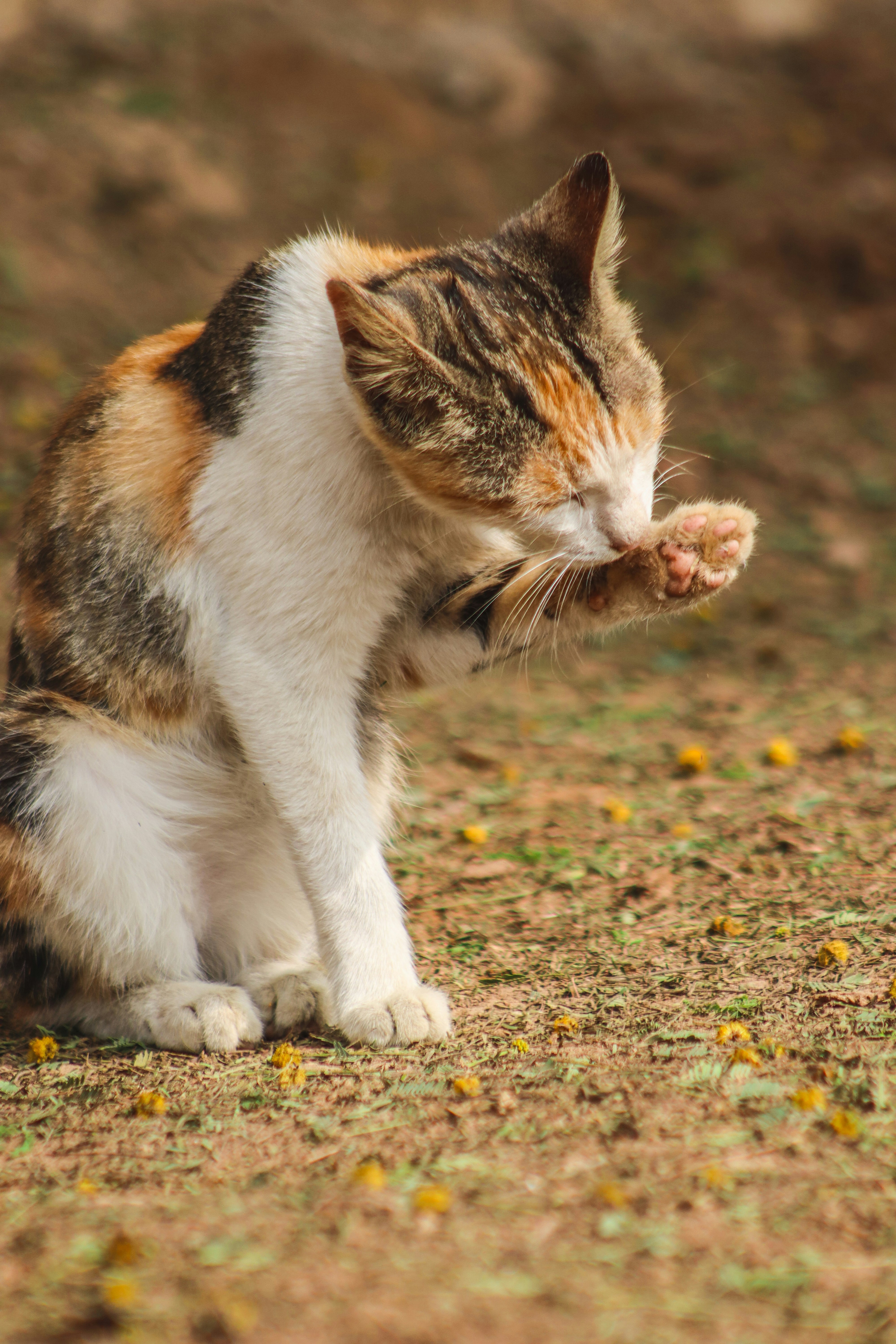 Photo by drphotographer152