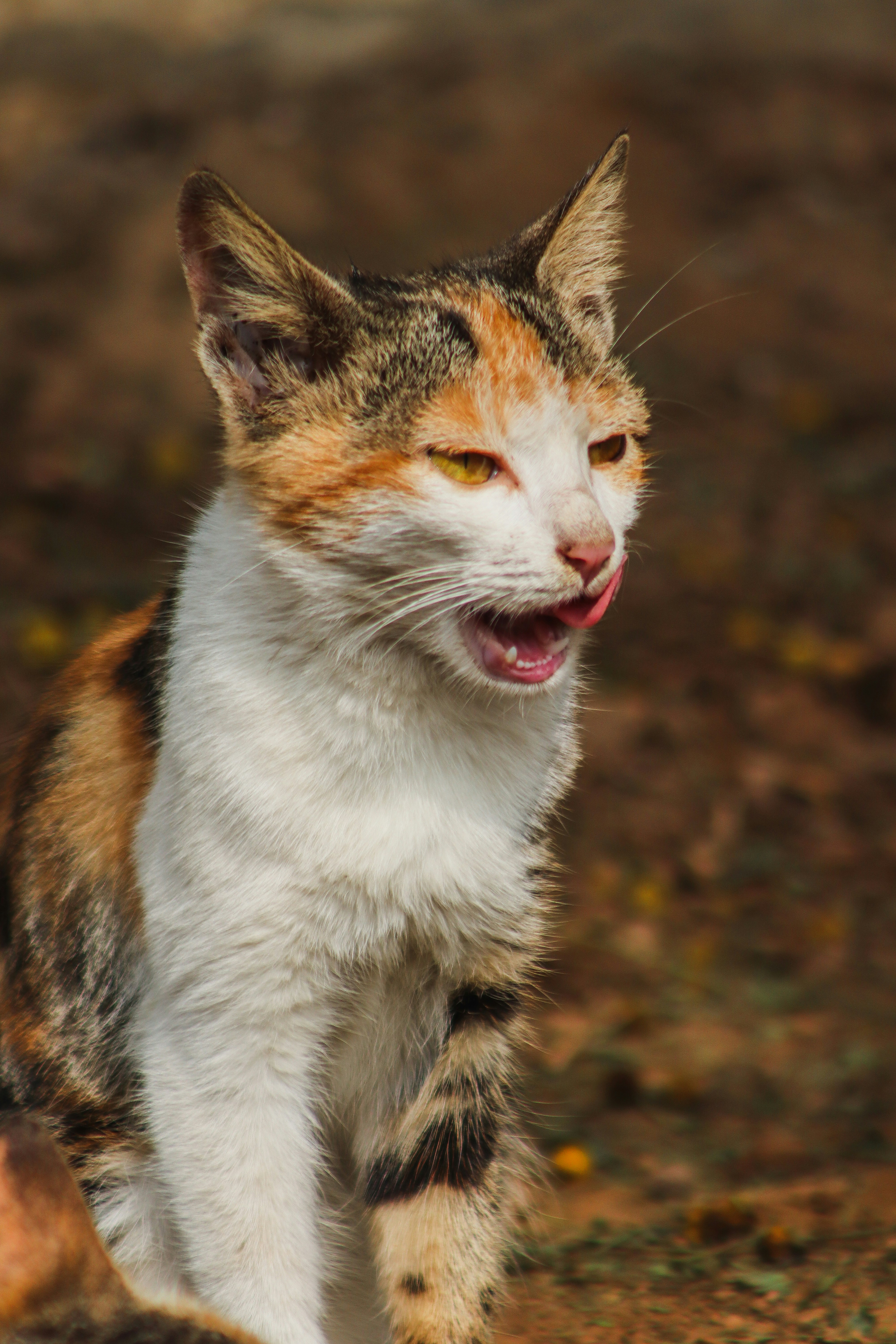 Photo by drphotographer152