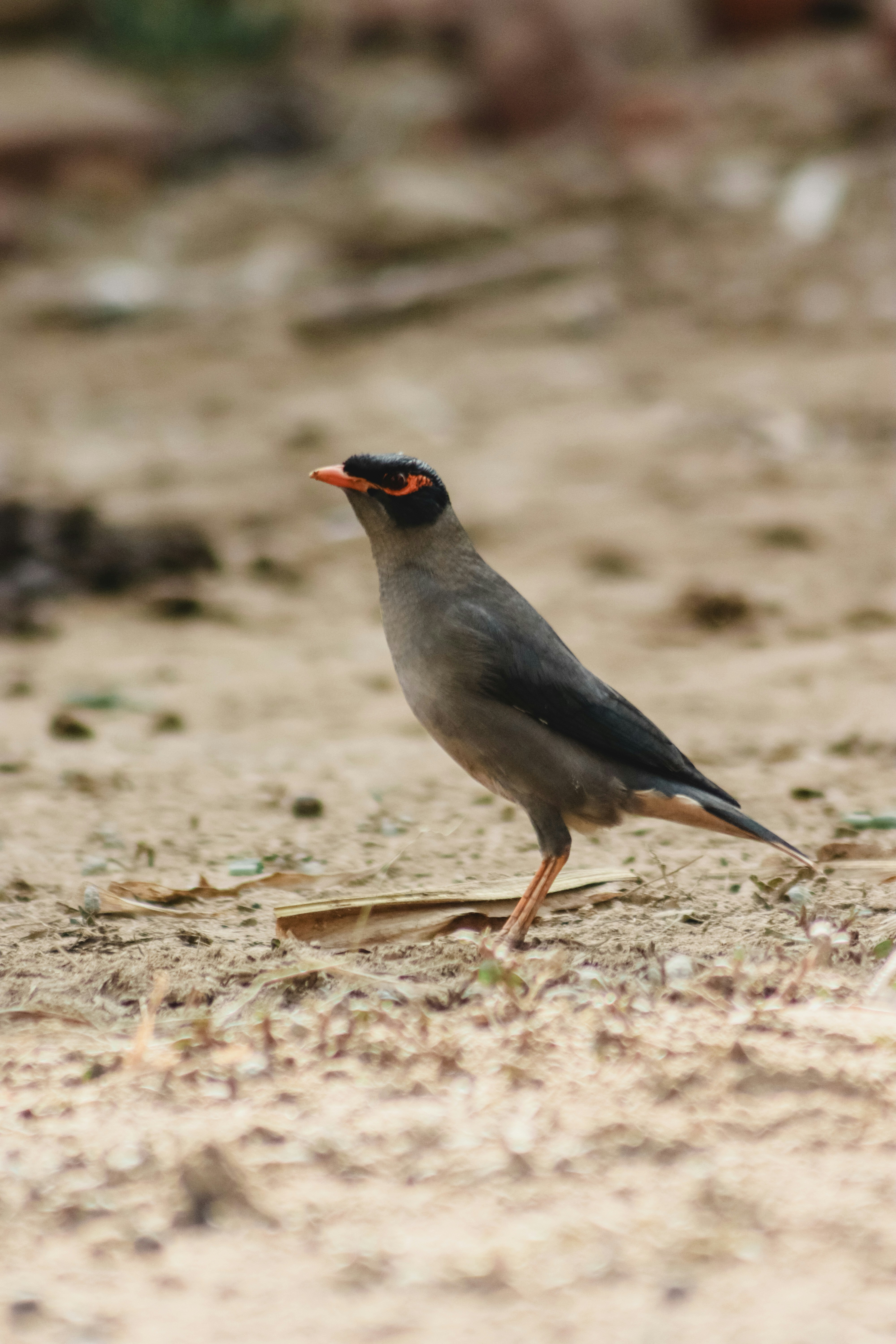 Photo by drphotographer152