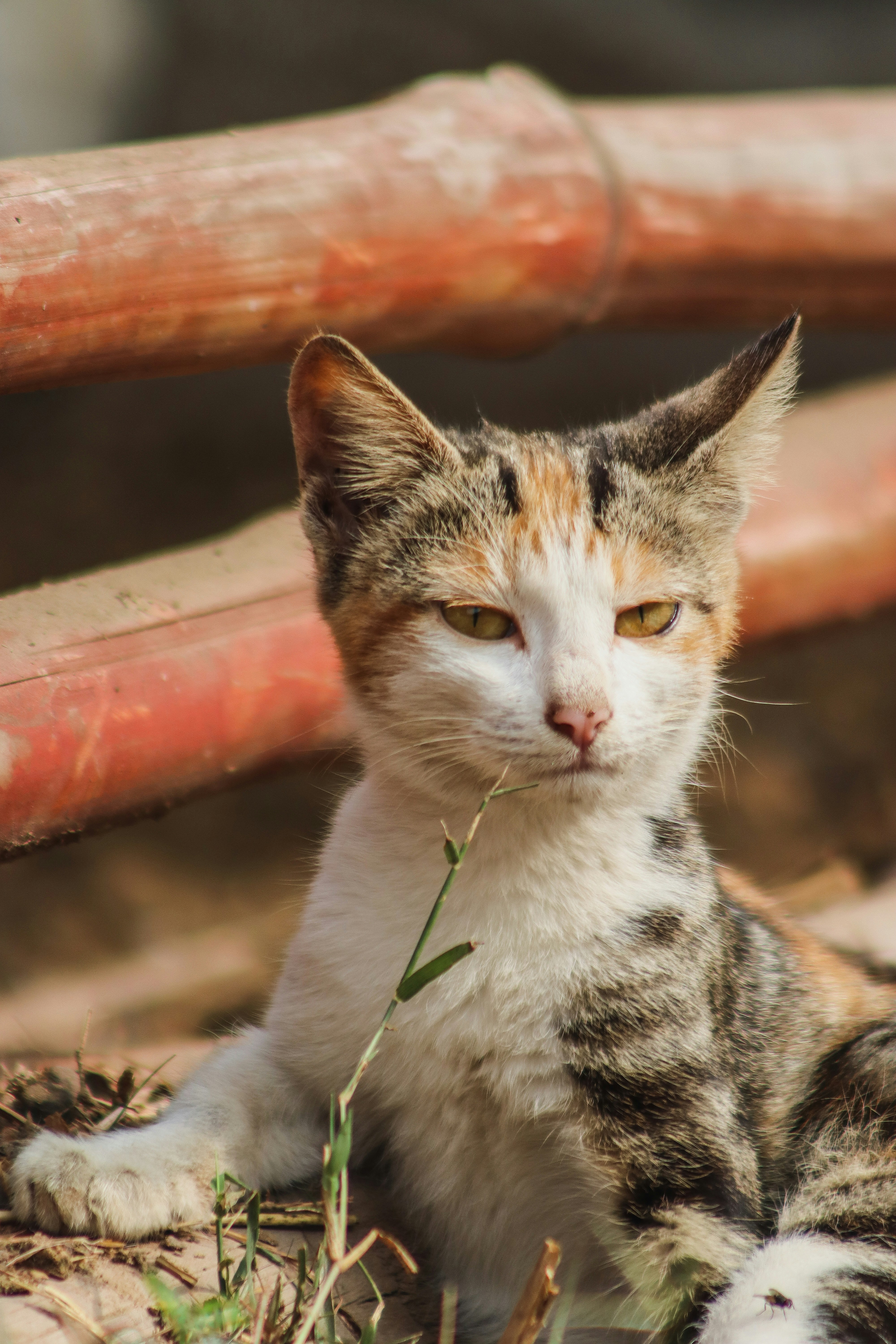 Photo by drphotographer152