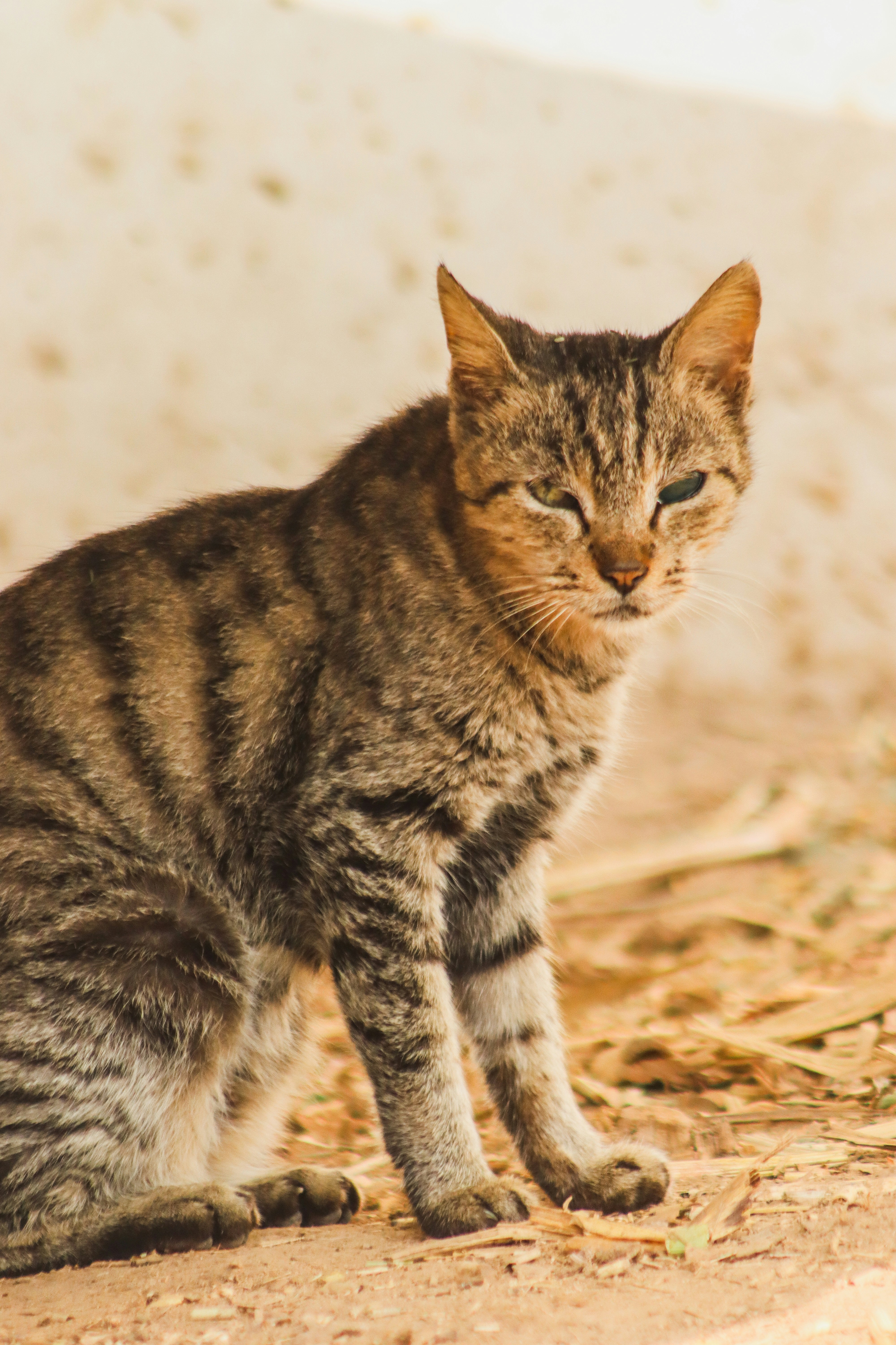 Photo by drphotographer152