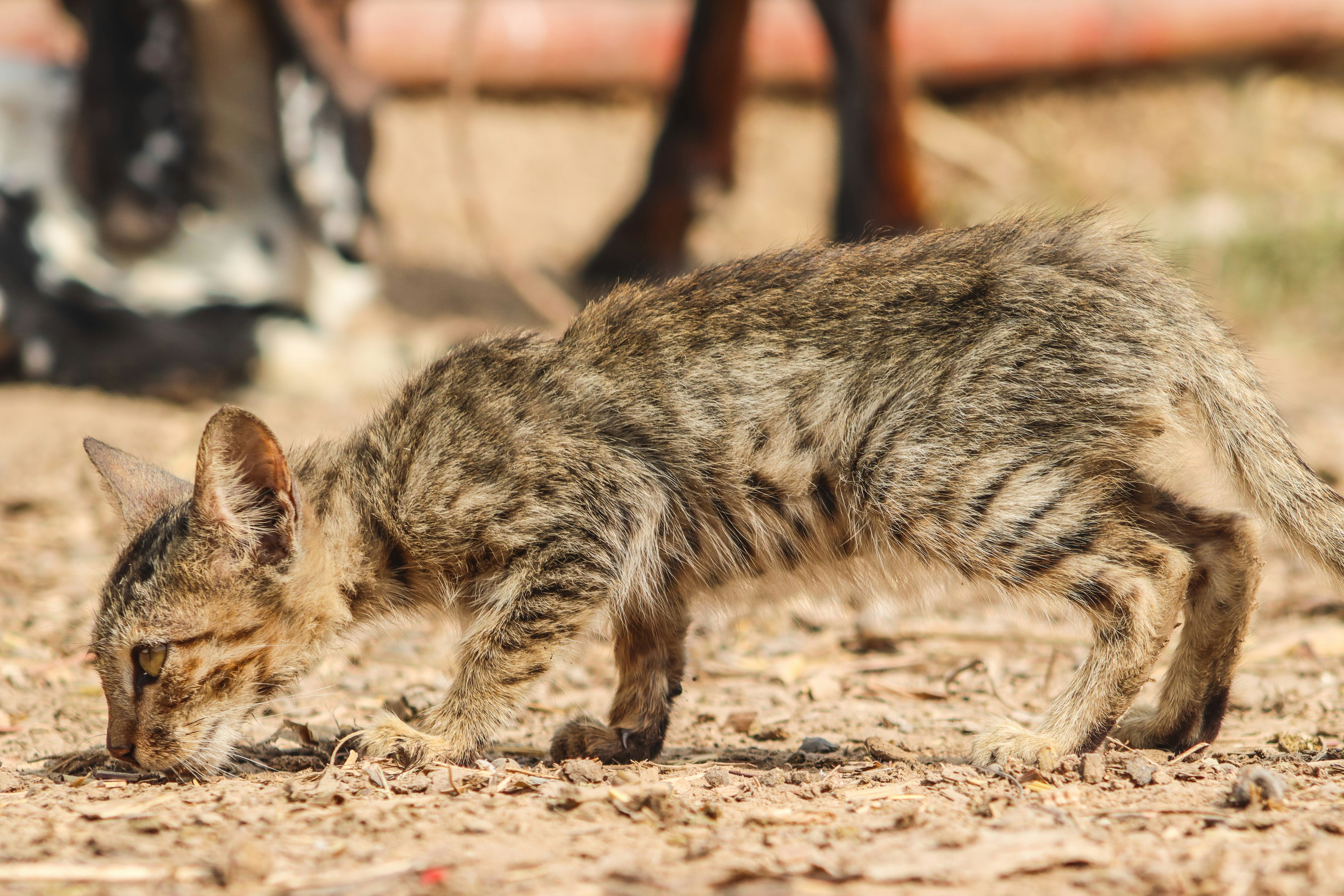 Photo by drphotographer152