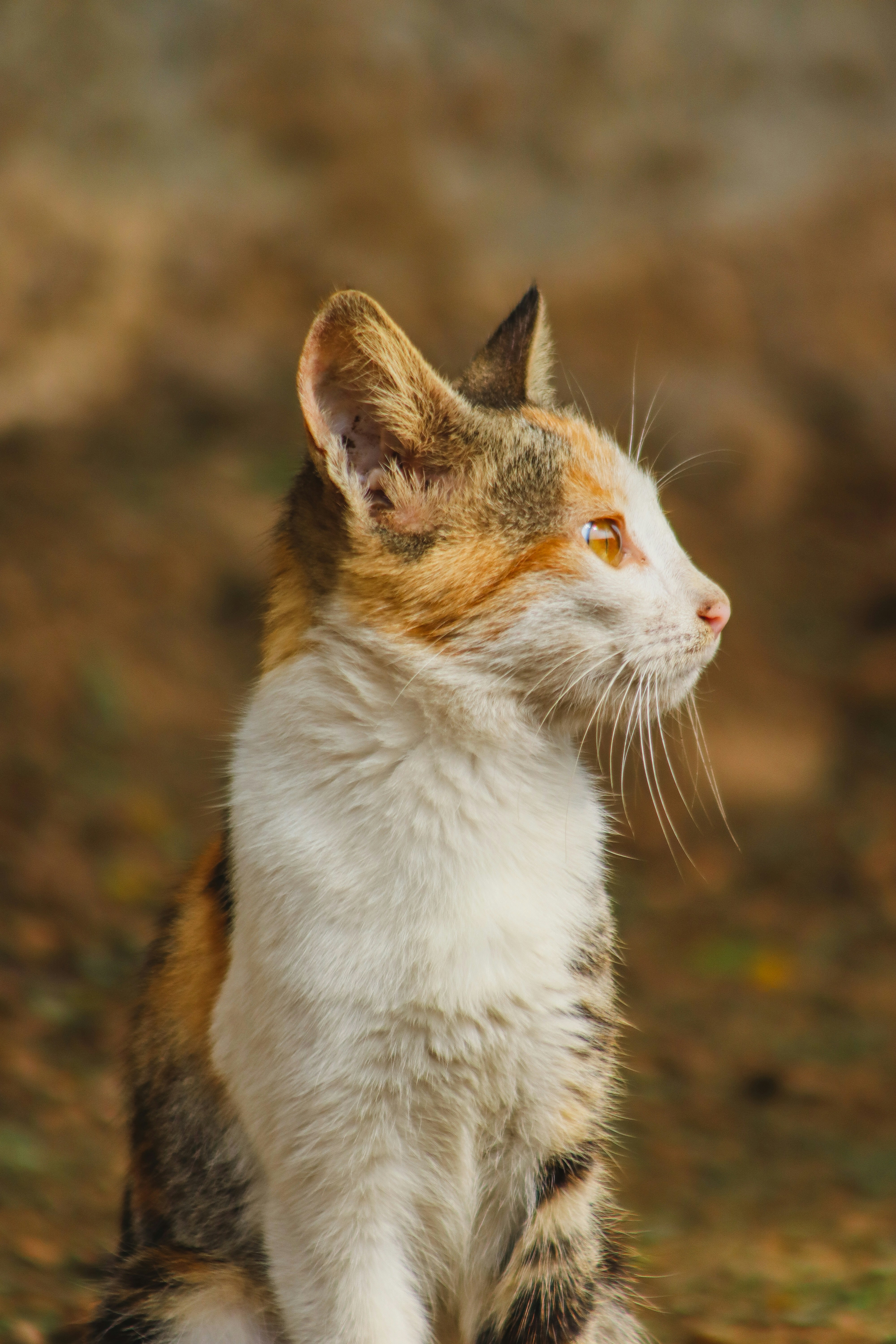 Photo by drphotographer152