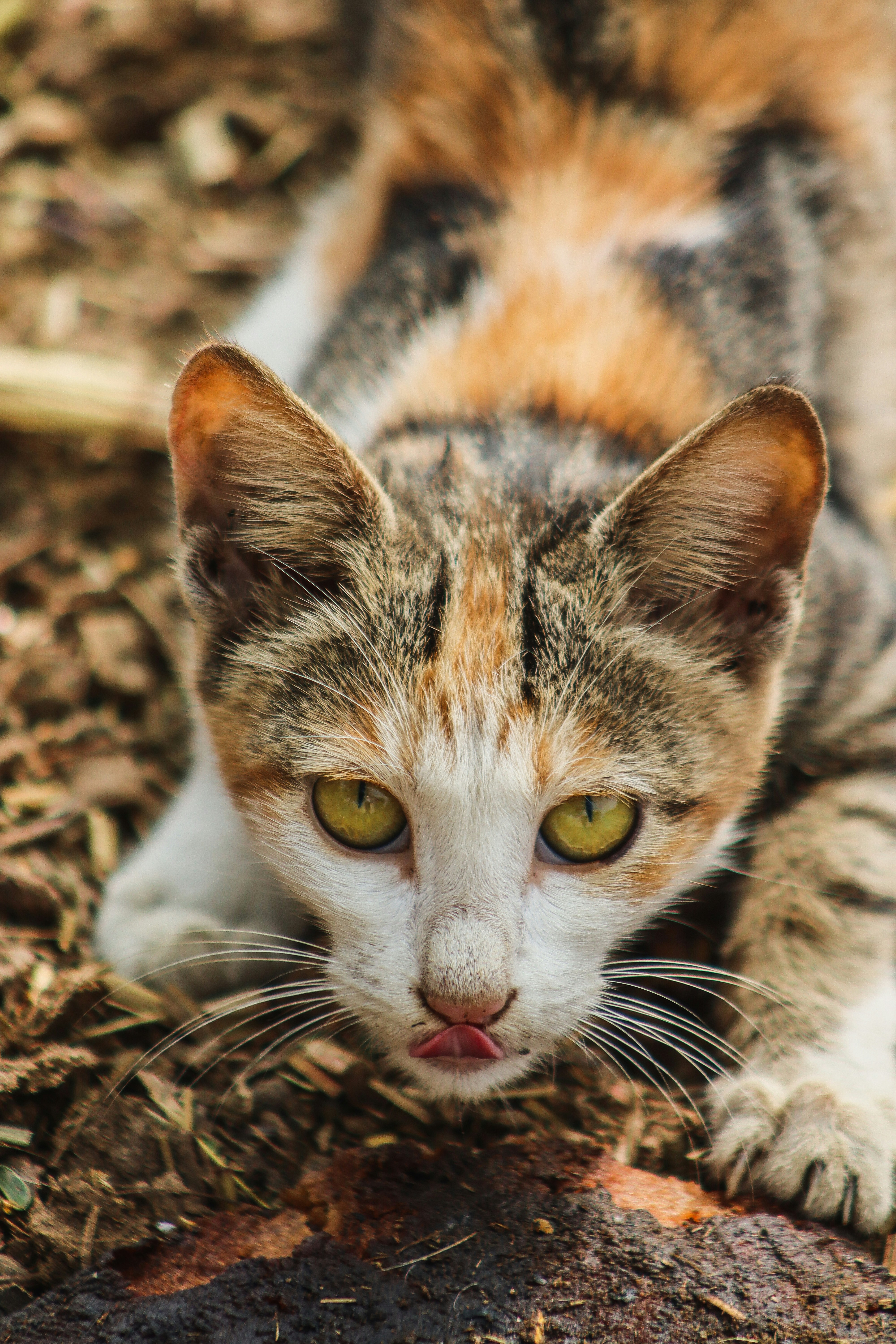 Photo by drphotographer152