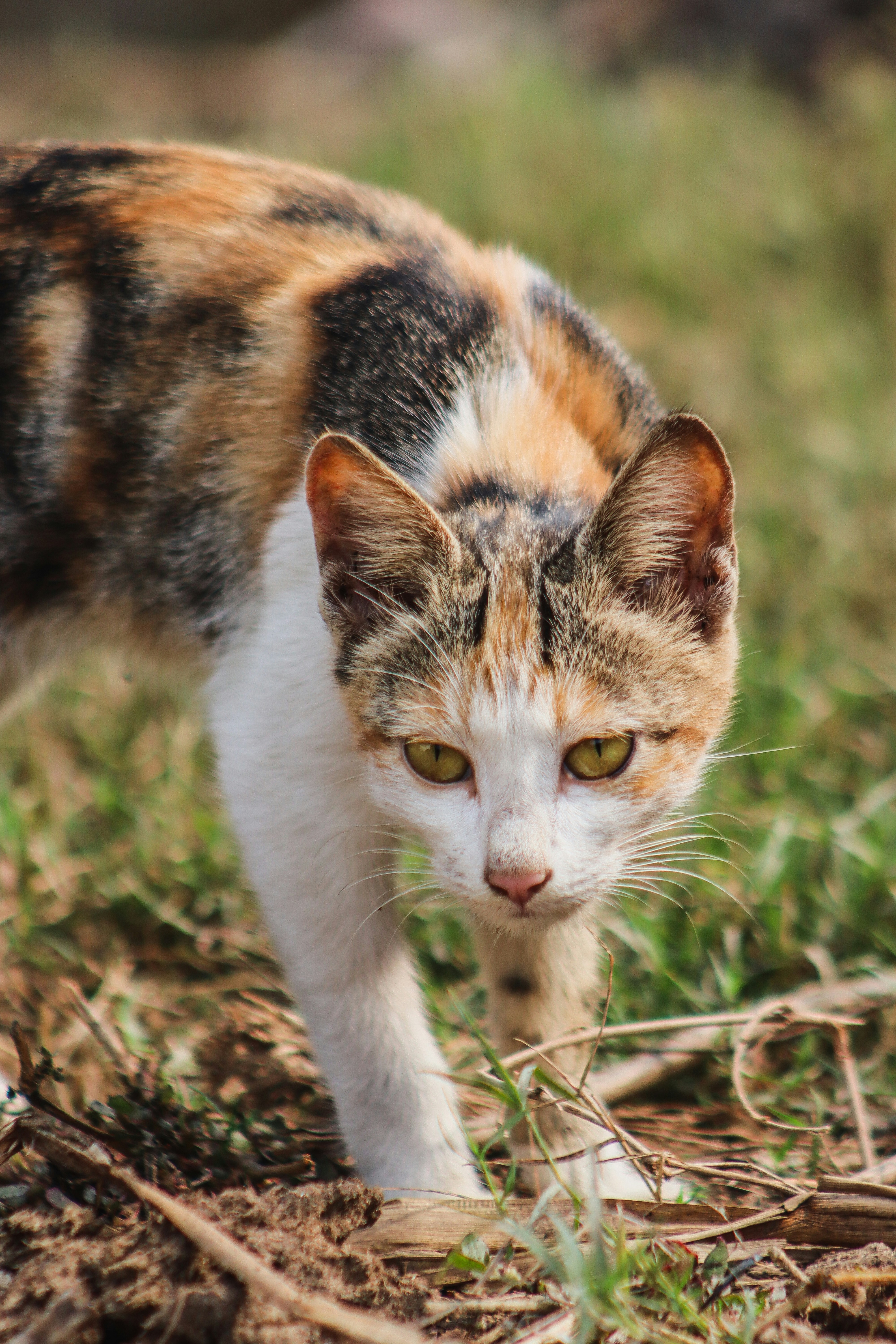 Photo by drphotographer152