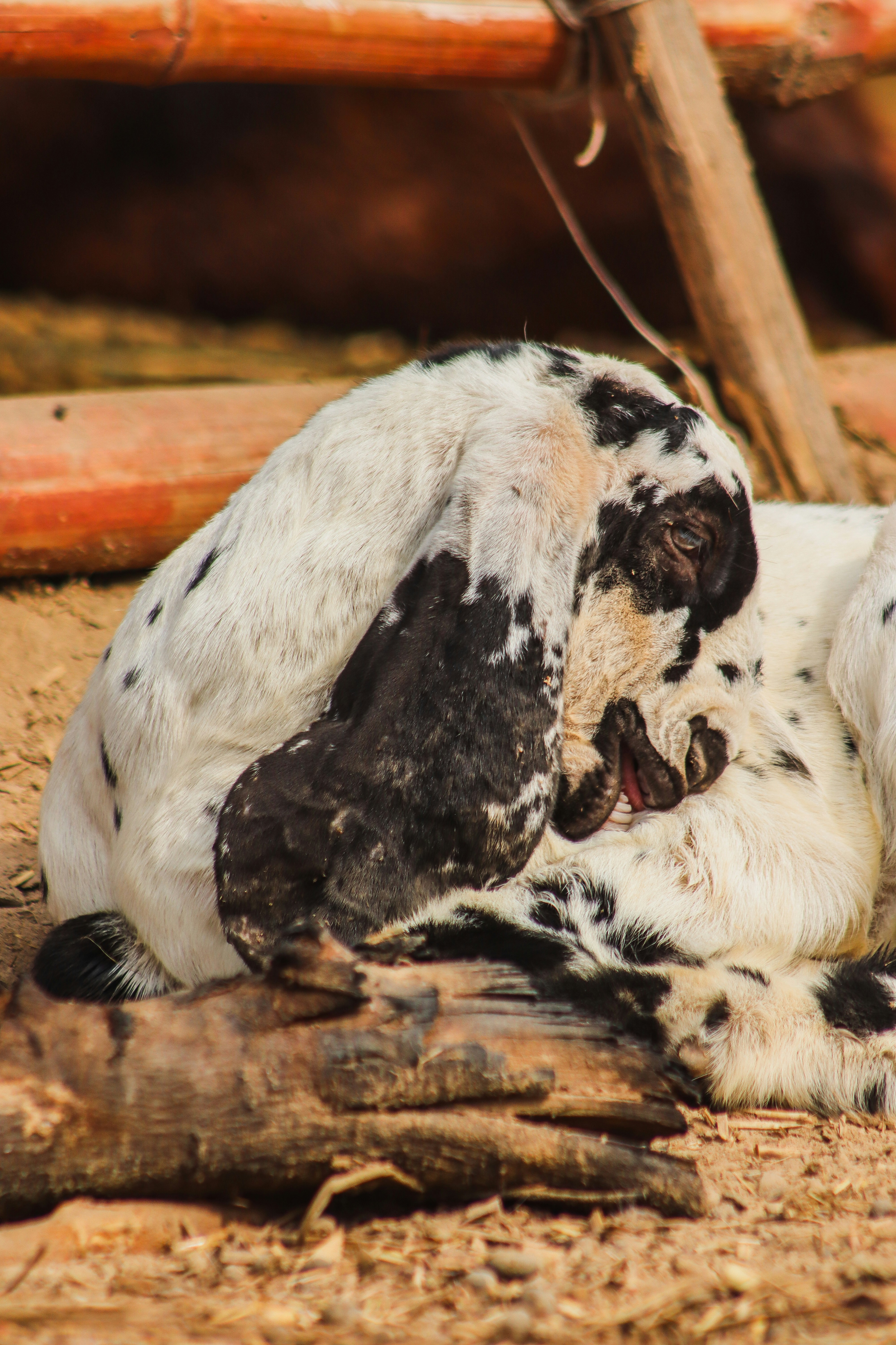 Photo by drphotographer152