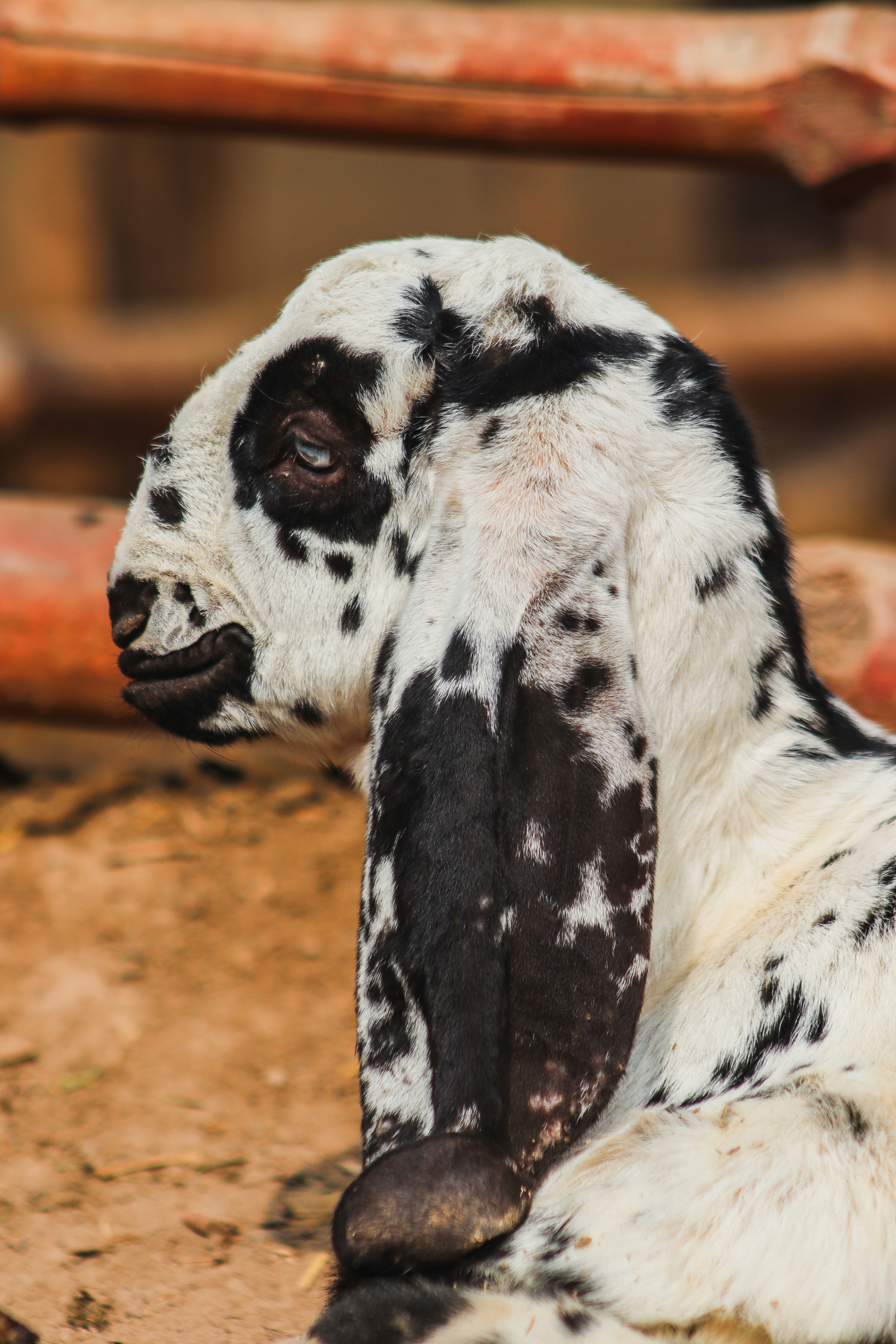 Photo by drphotographer152