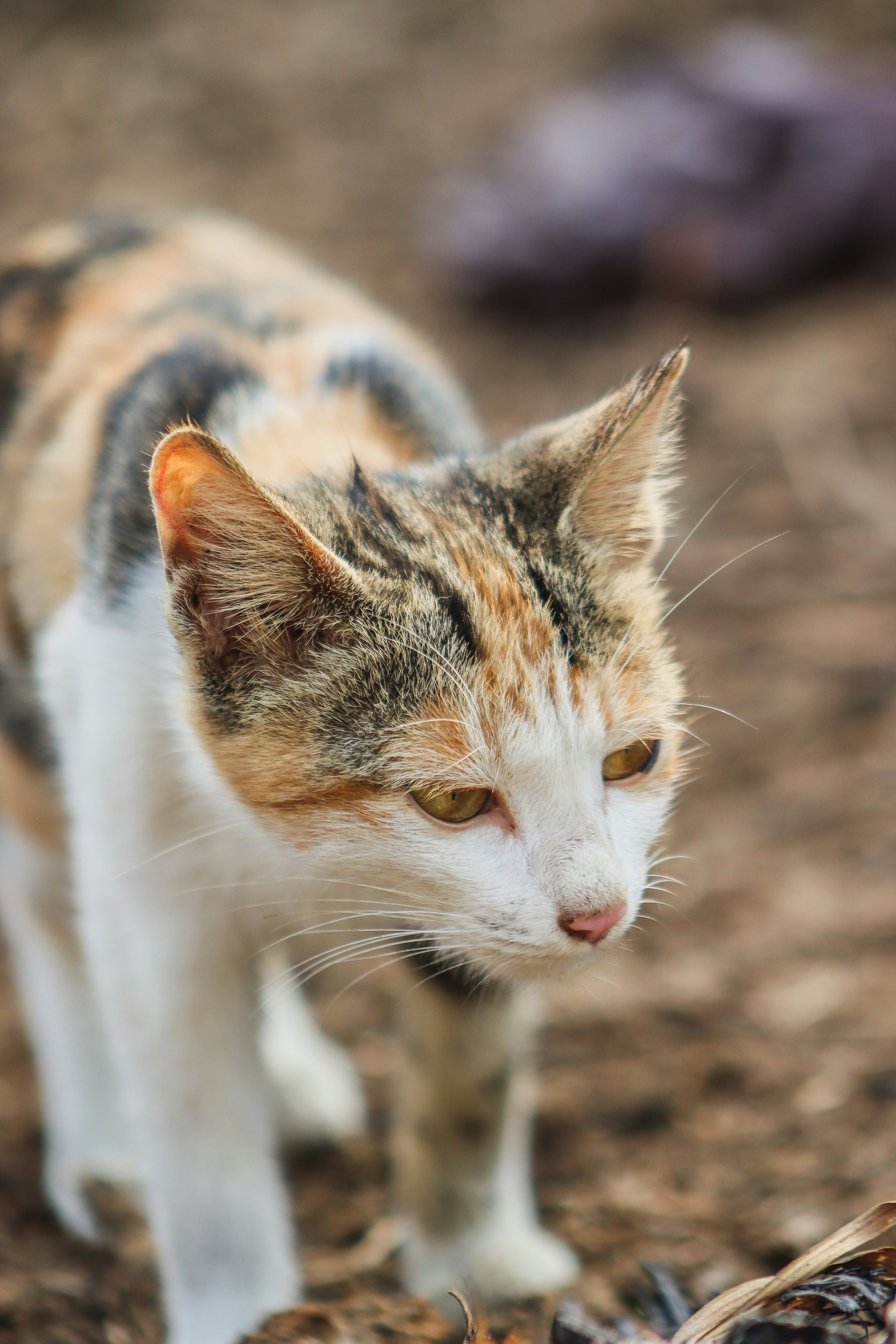 Photo by drphotographer152