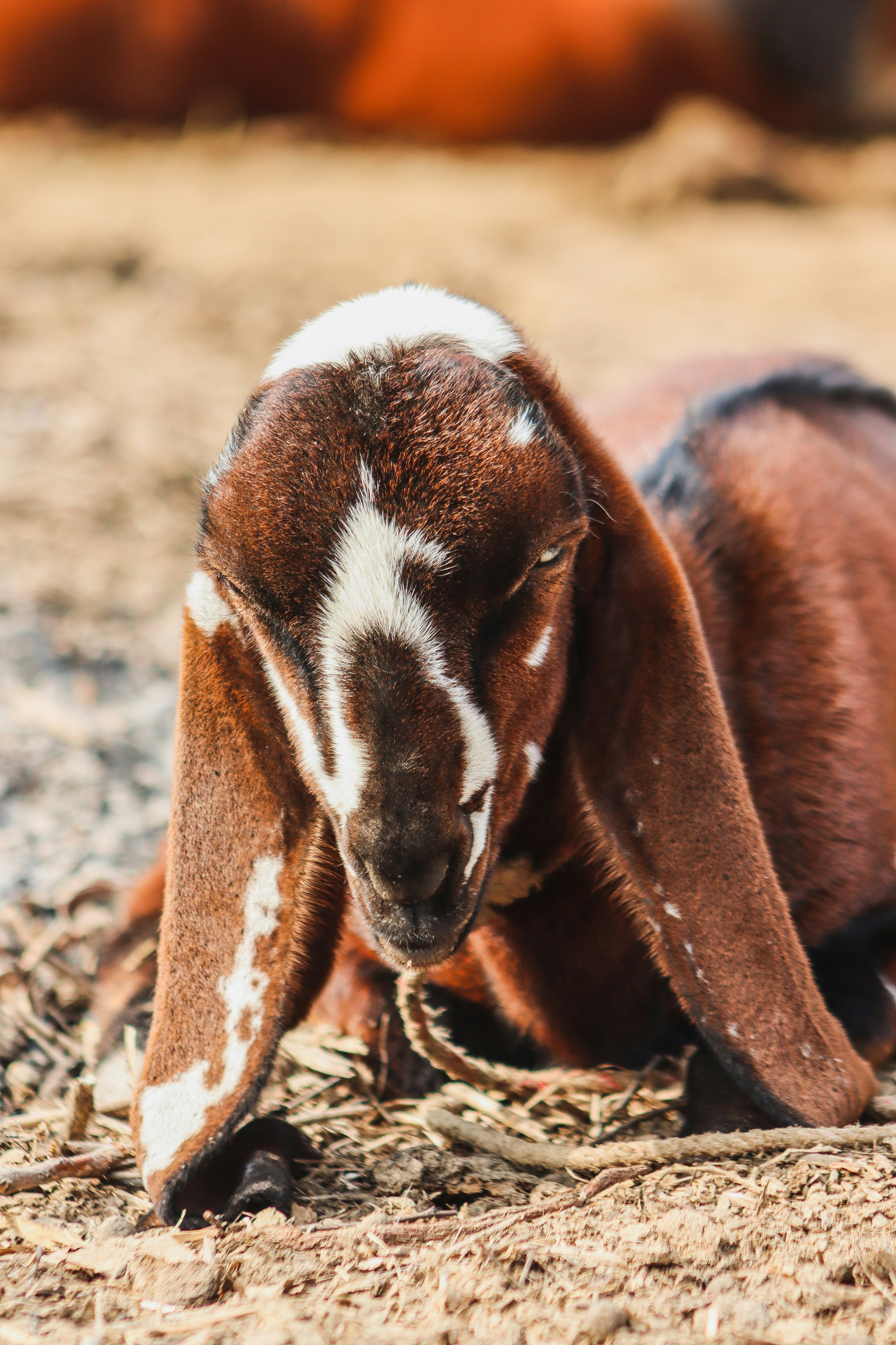 Photo by drphotographer152