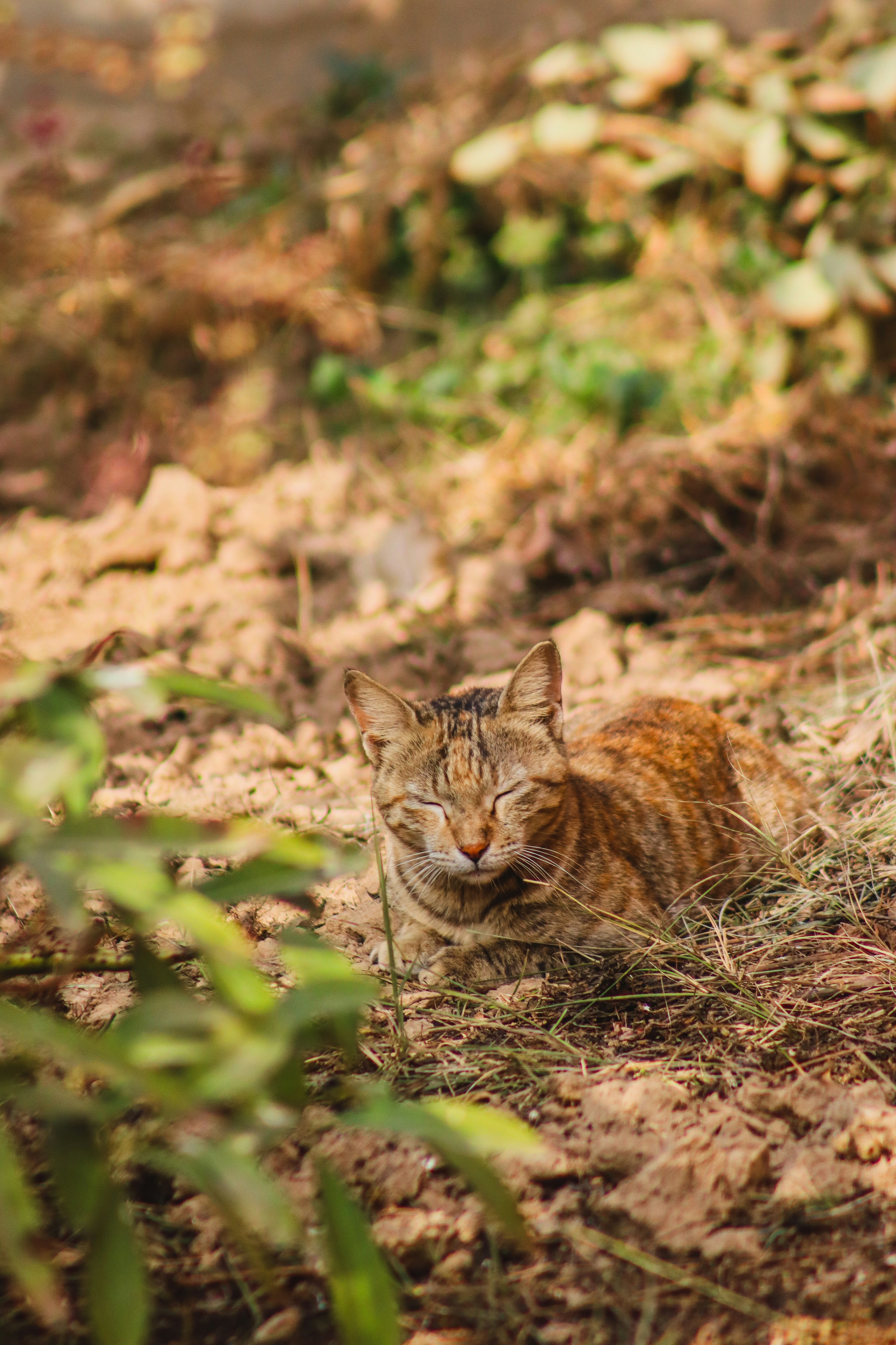 Photo by drphotographer152