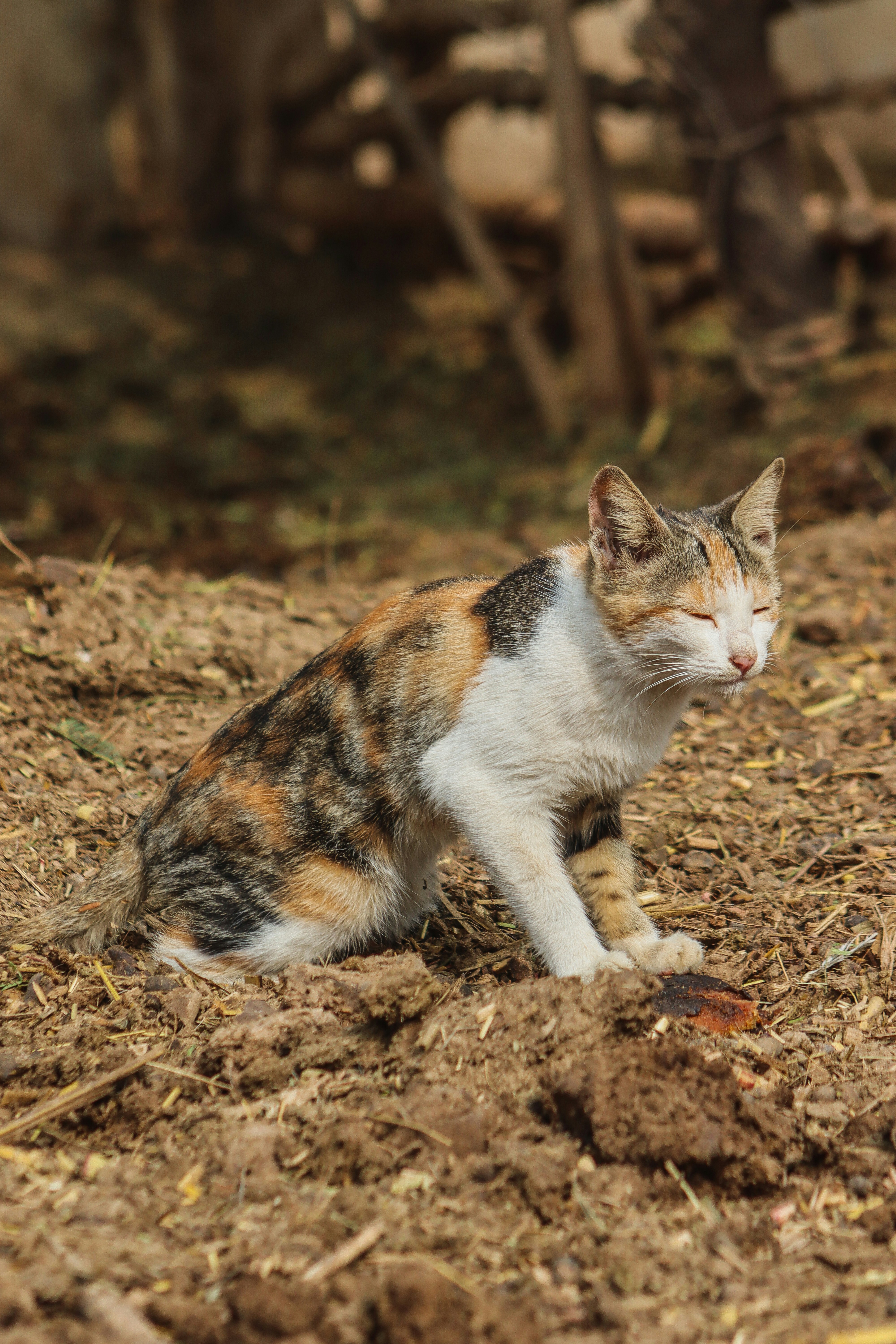 Photo by drphotographer152