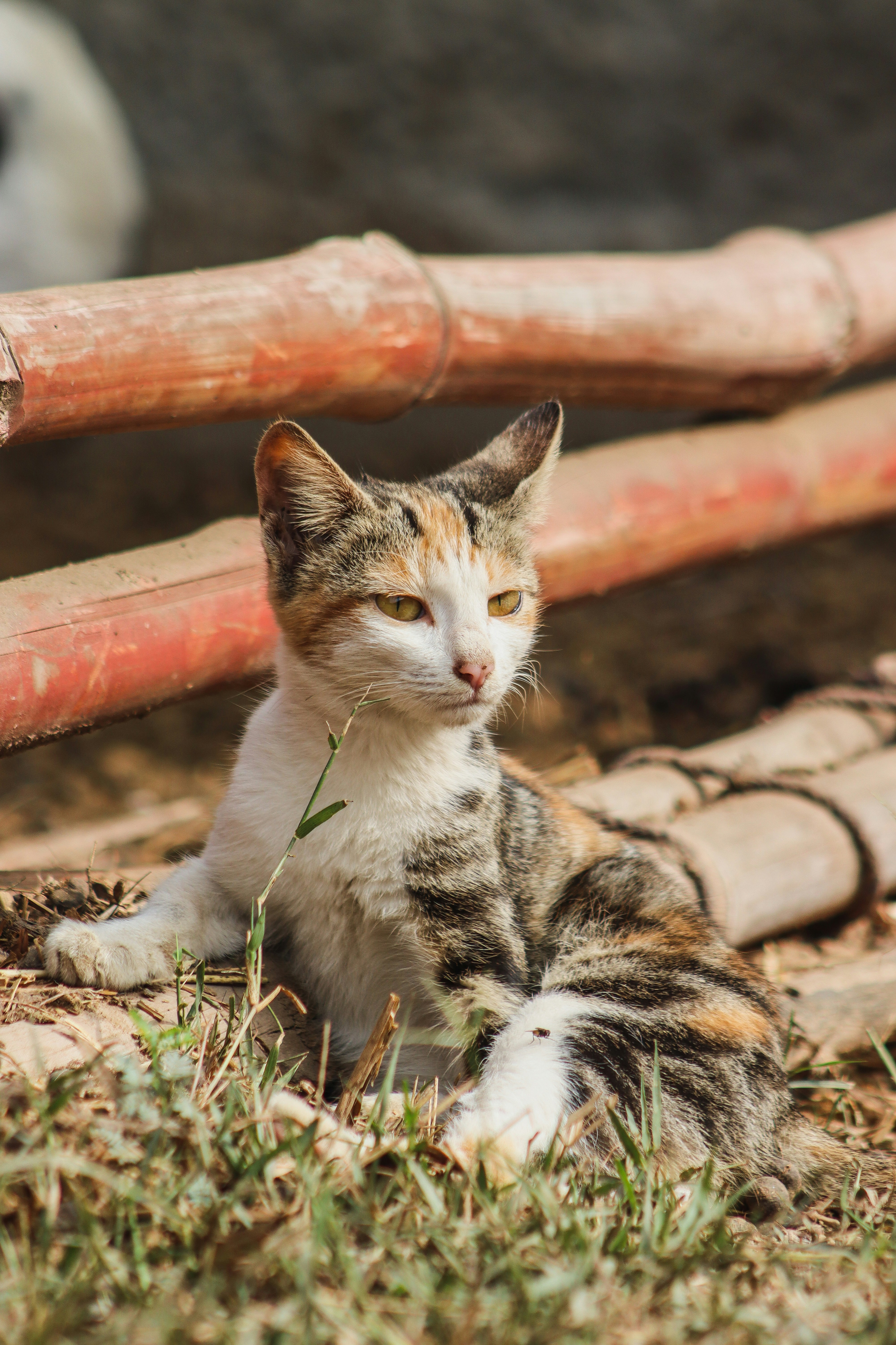 Photo by drphotographer152