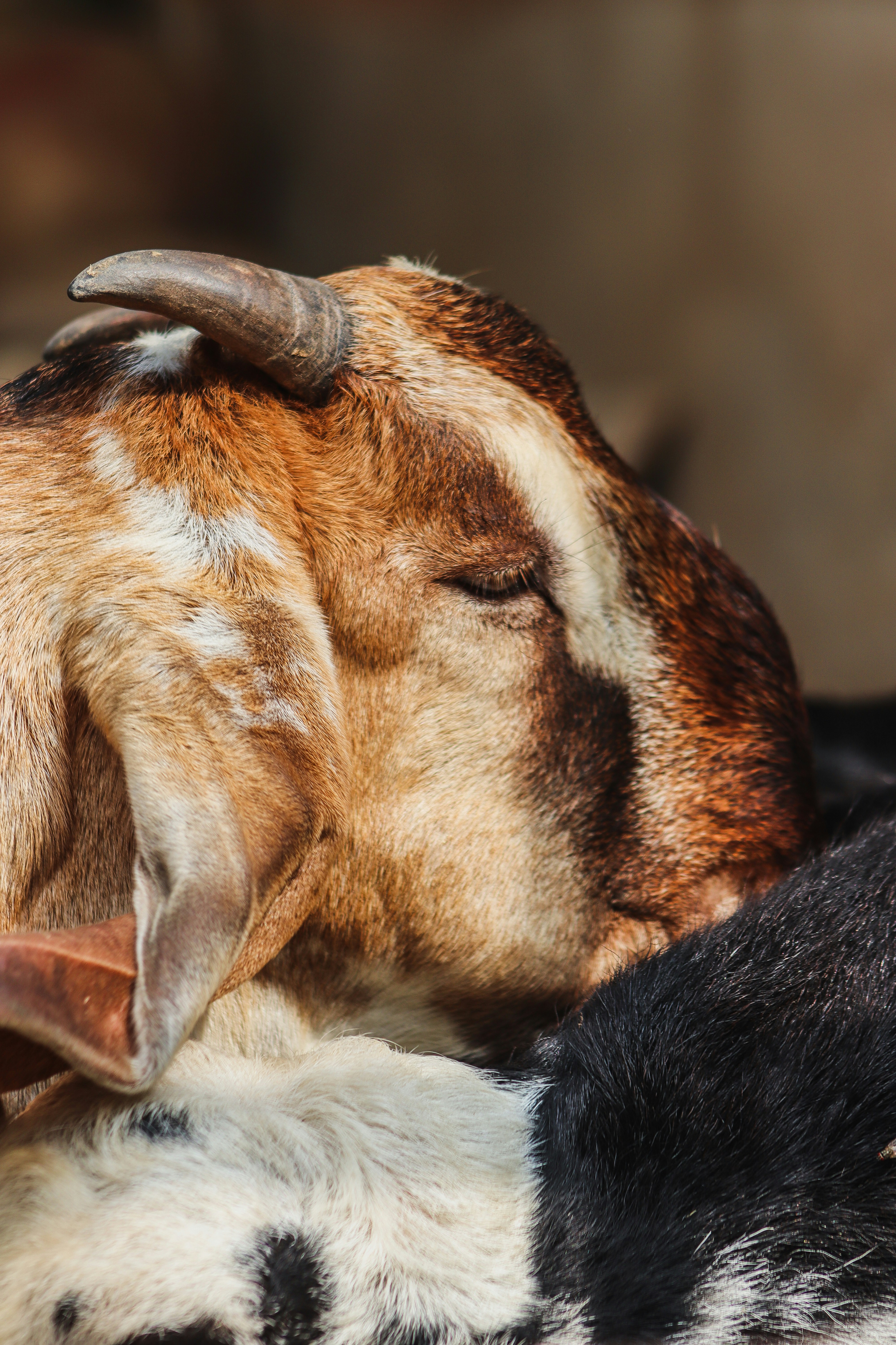 Photo by drphotographer152