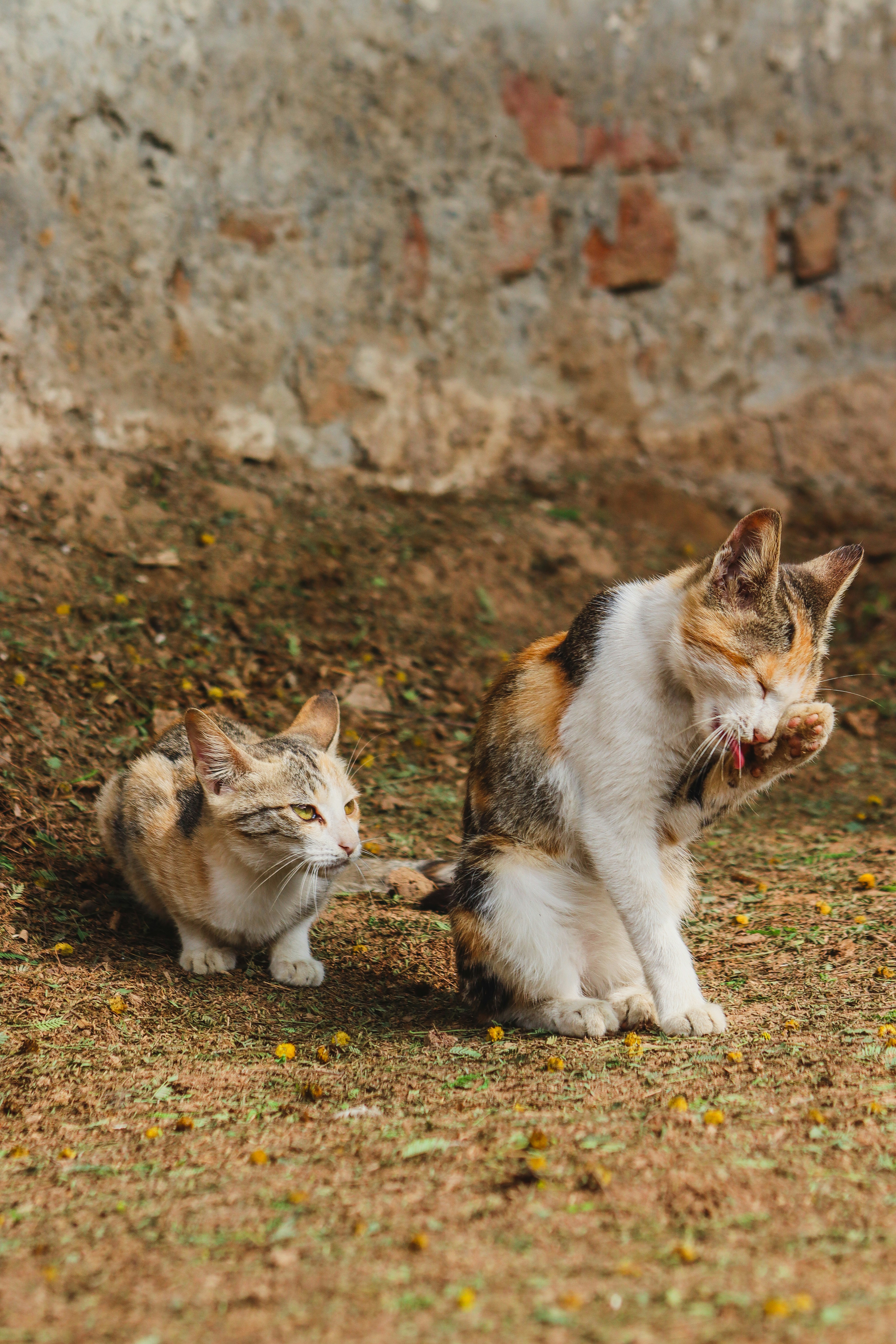 Photo by drphotographer152