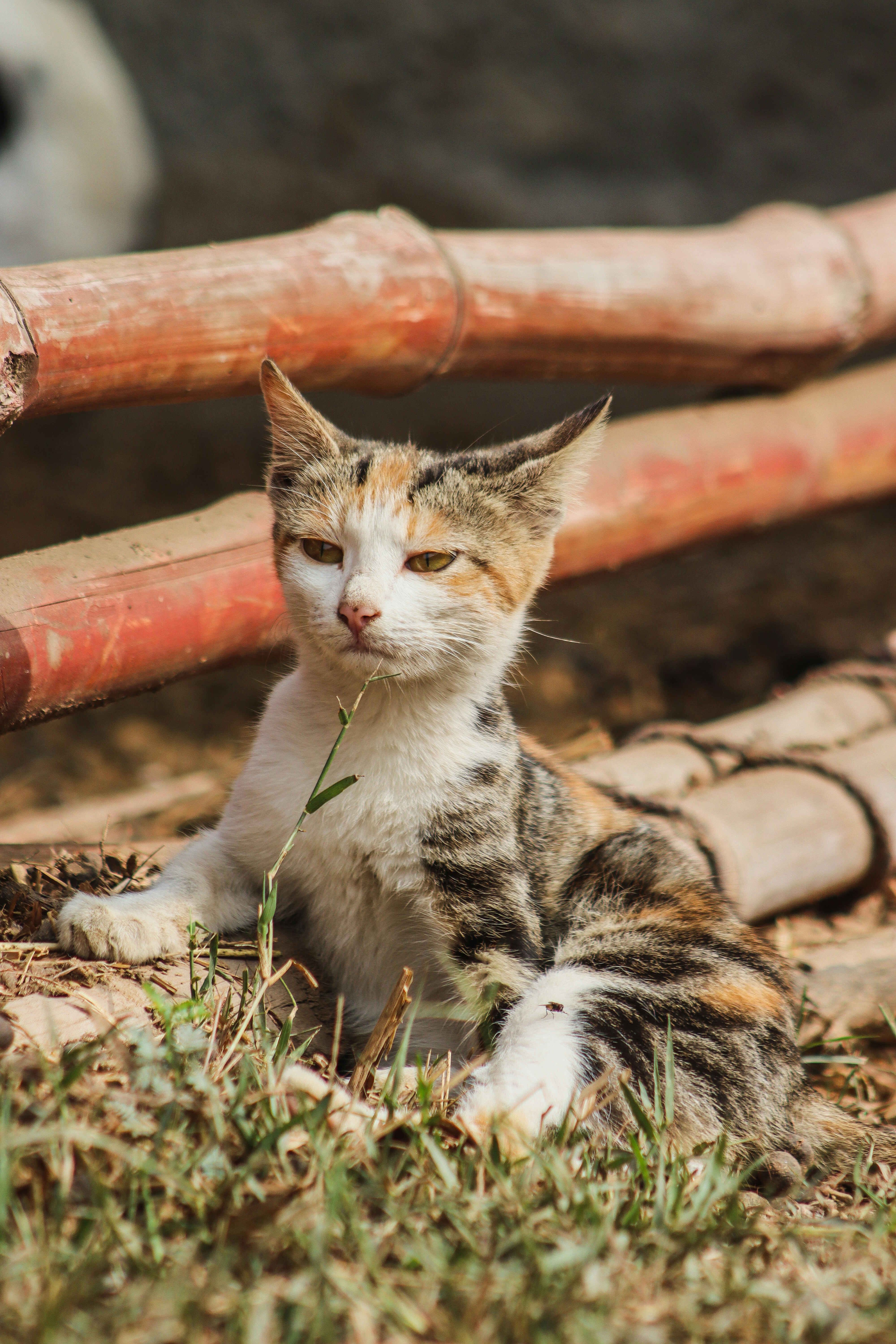 Photo by drphotographer152