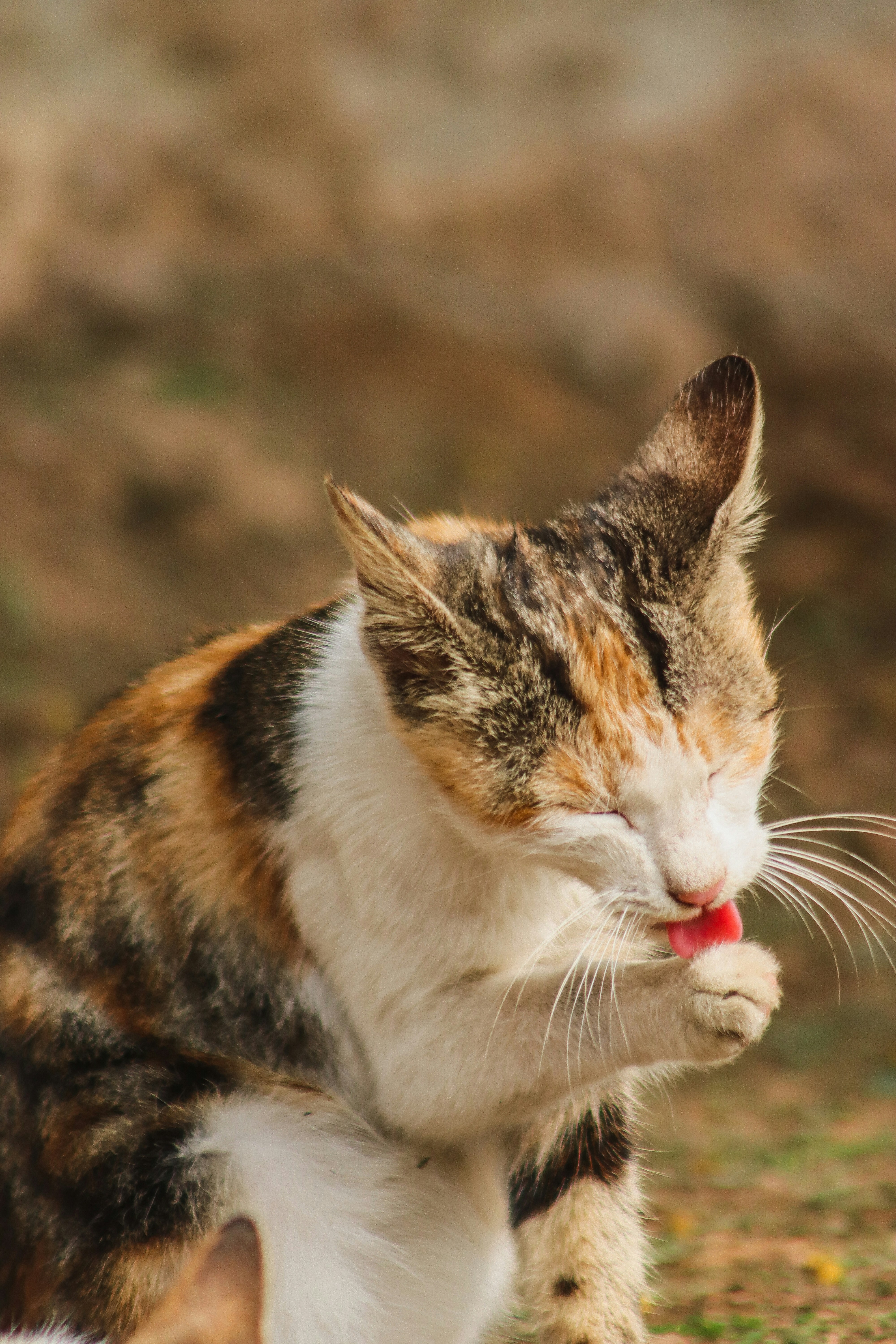 Photo by drphotographer152