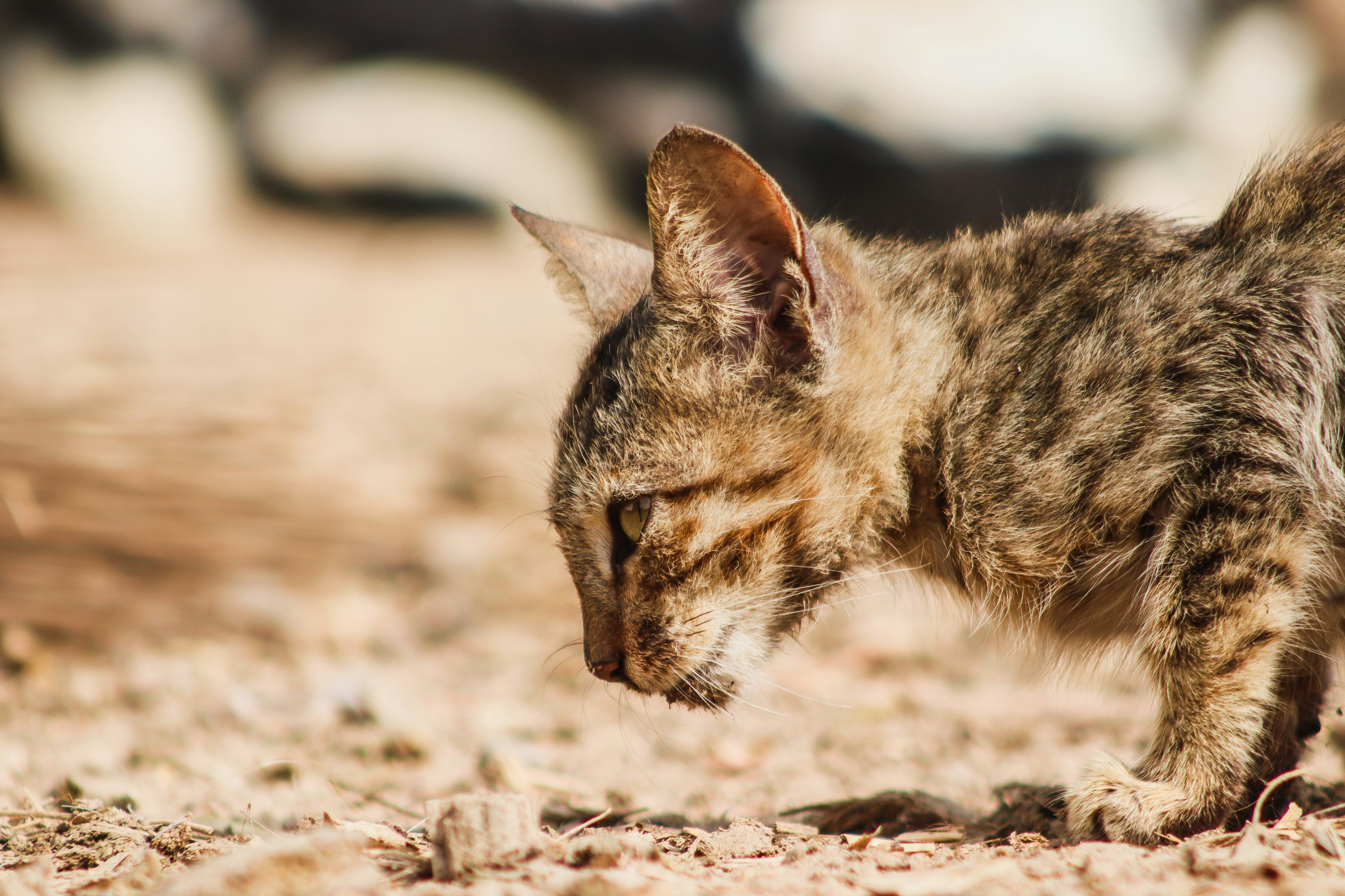 Photo by drphotographer152