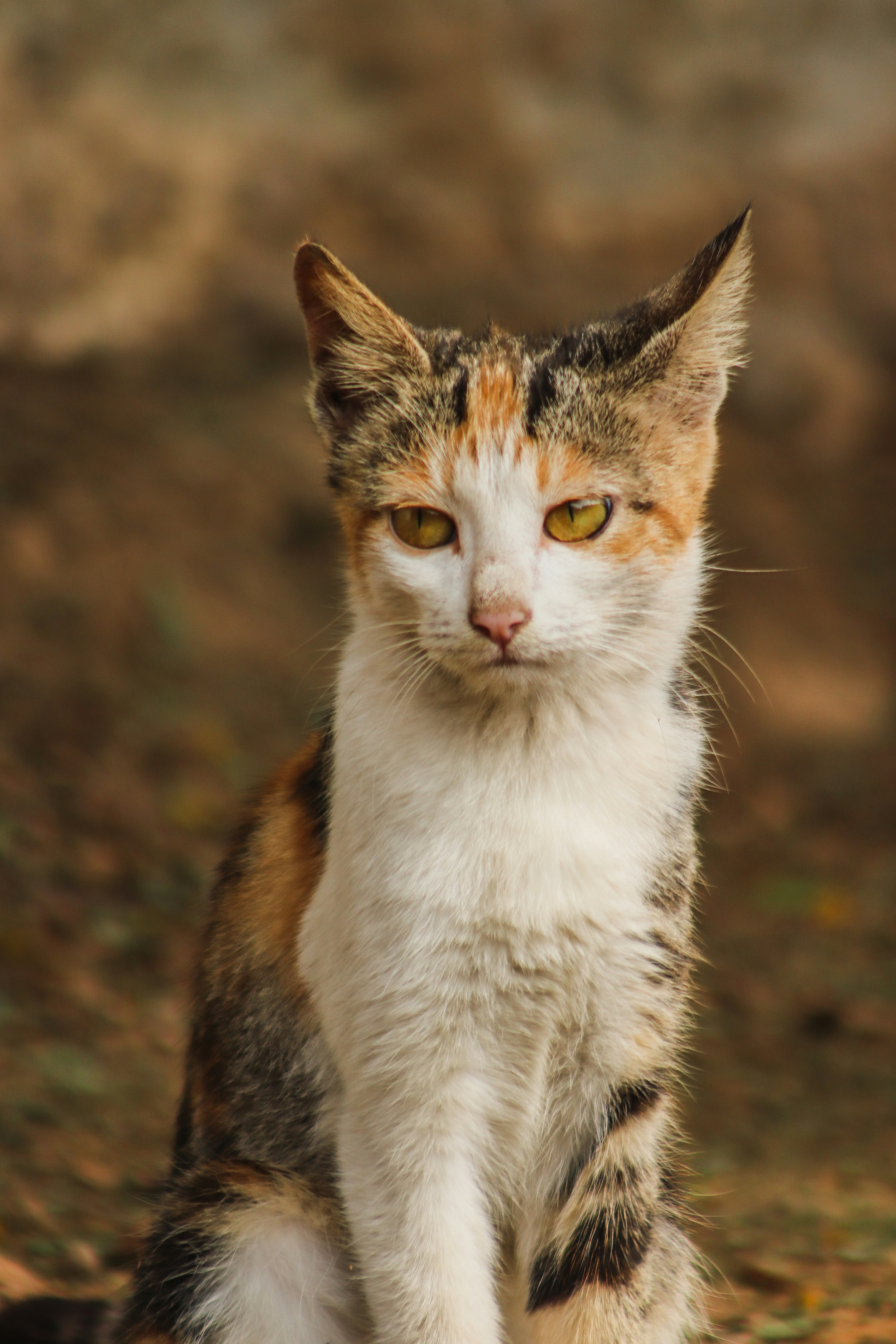 Photo by drphotographer152