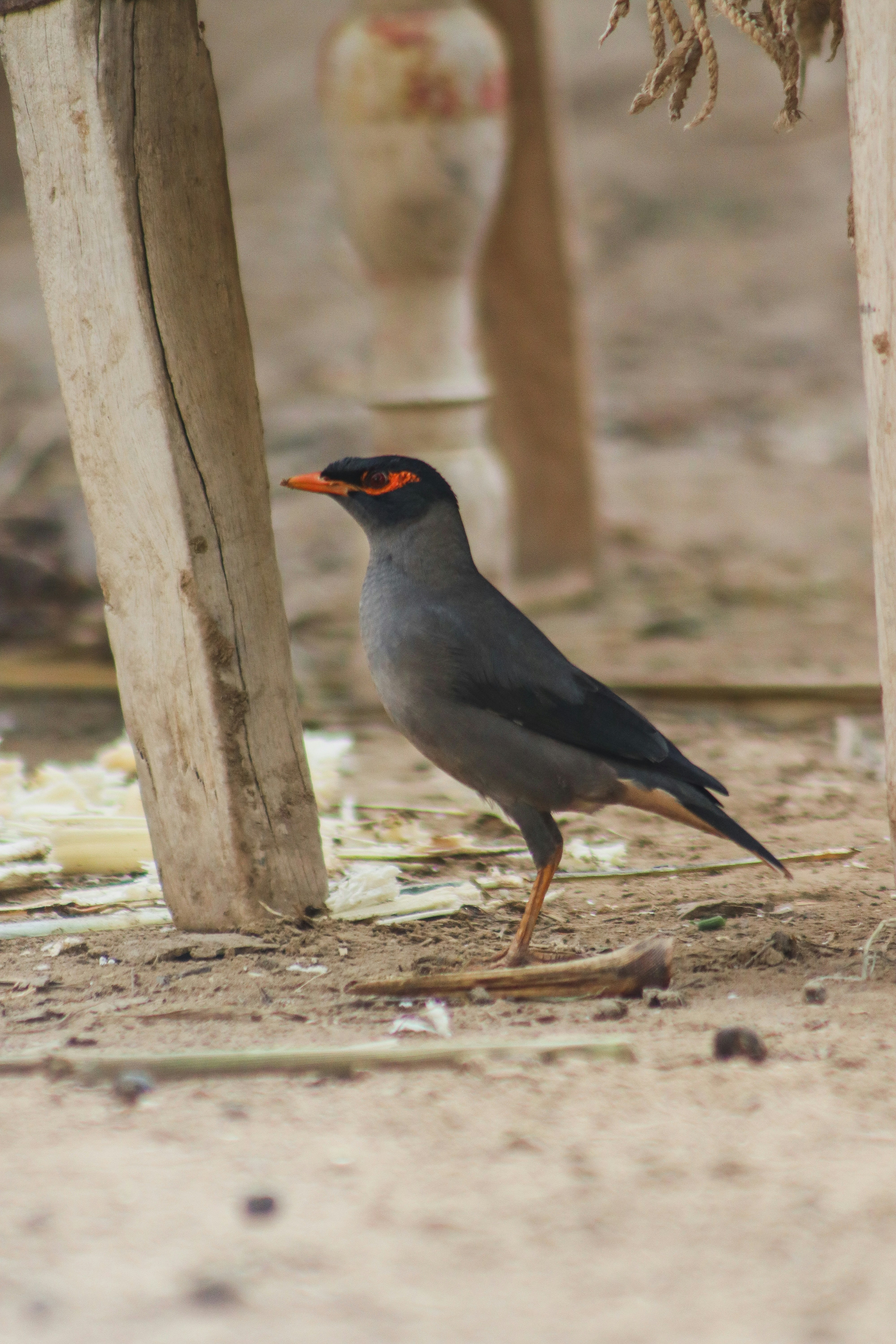 Photo by drphotographer152