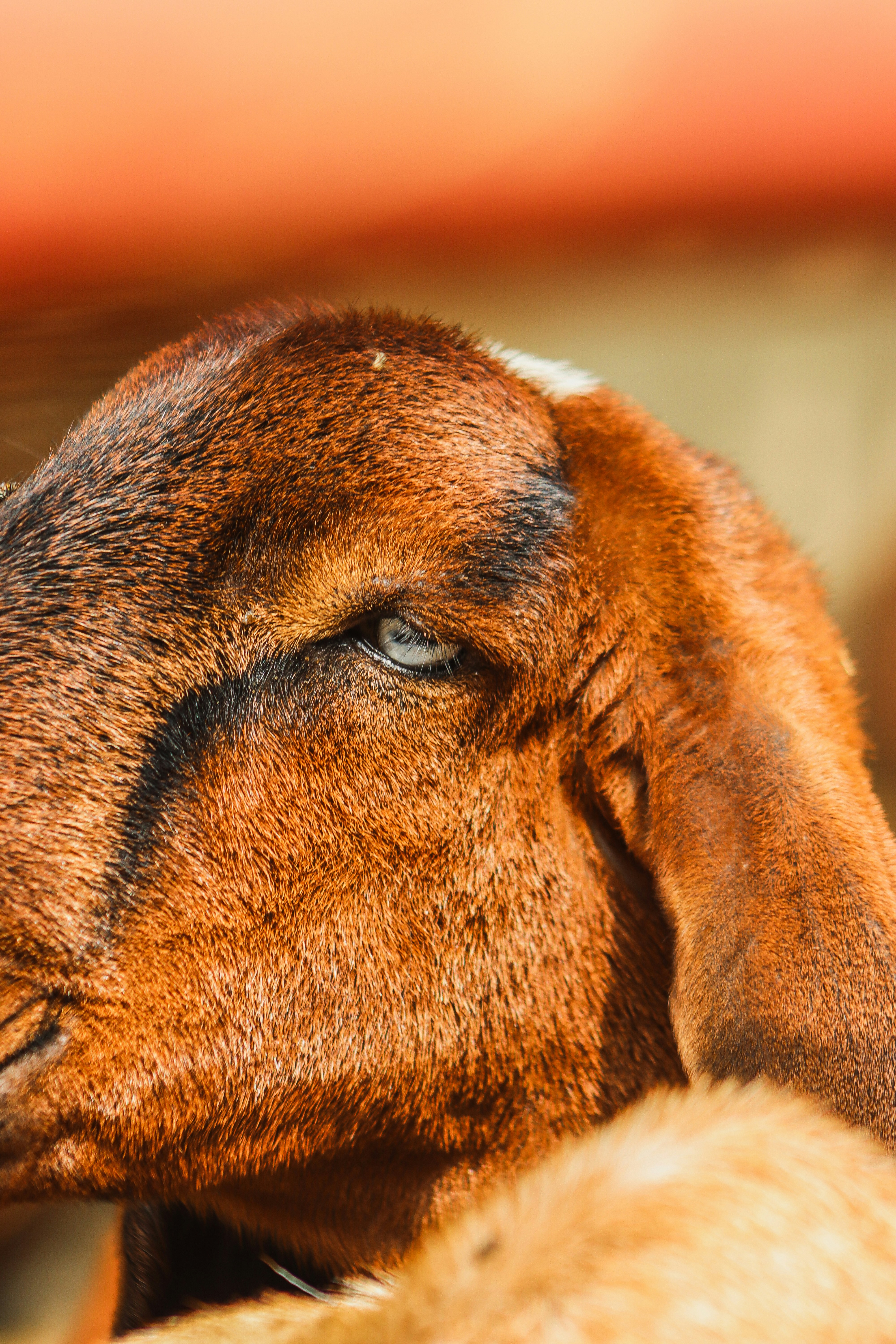 Photo by drphotographer152